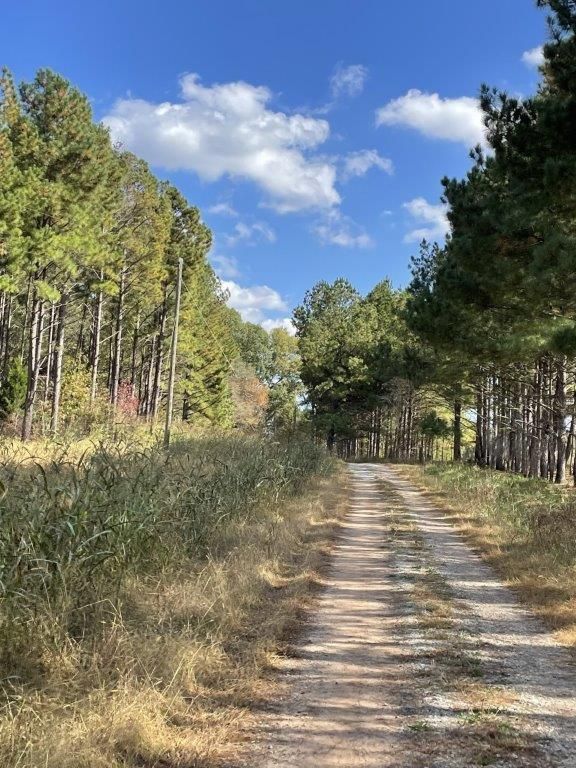 Newborn, County, GA Recreational Property, Timberland Property