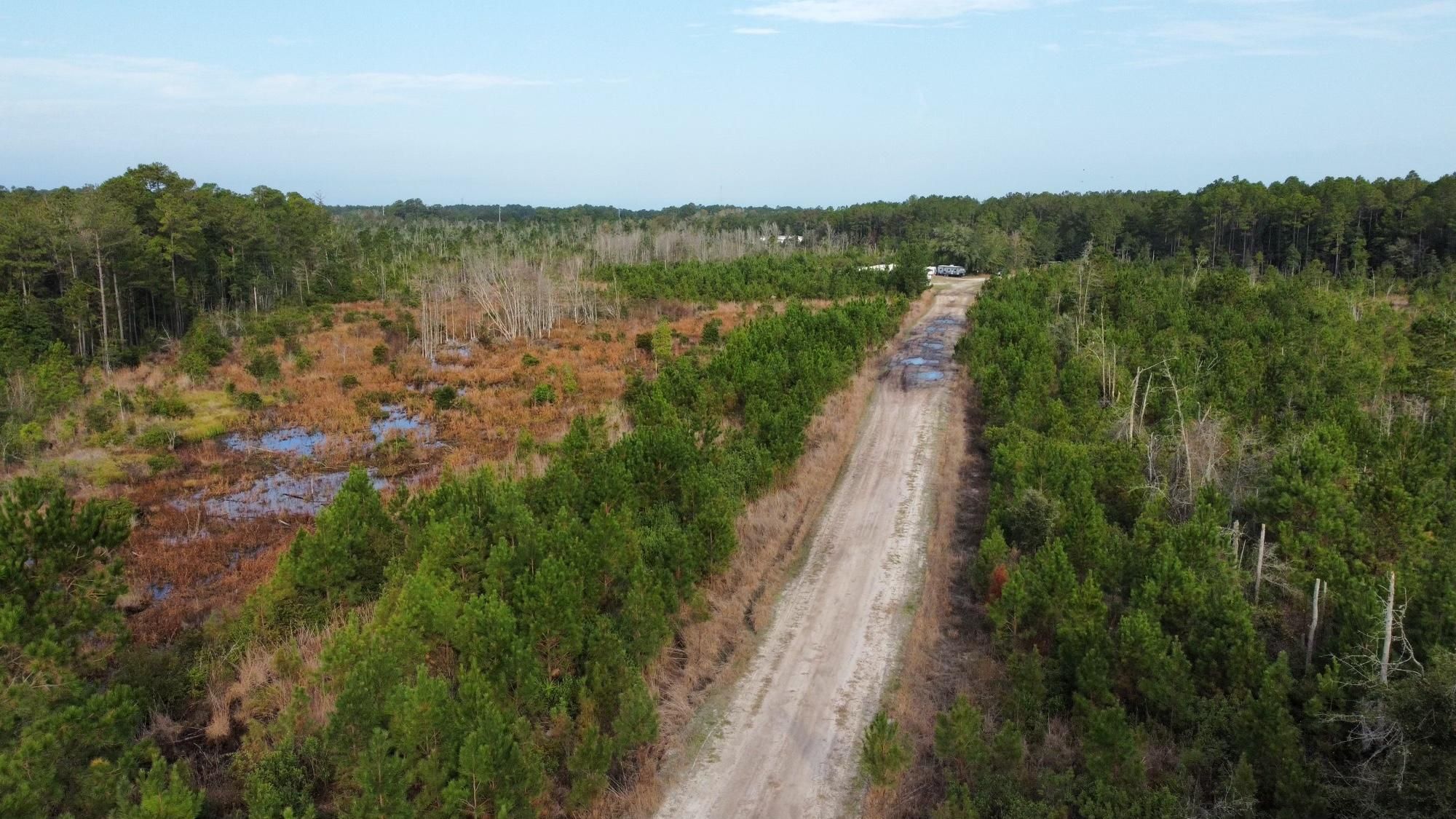 Townsend, McIntosh County, GA Timberland Property, Undeveloped Land