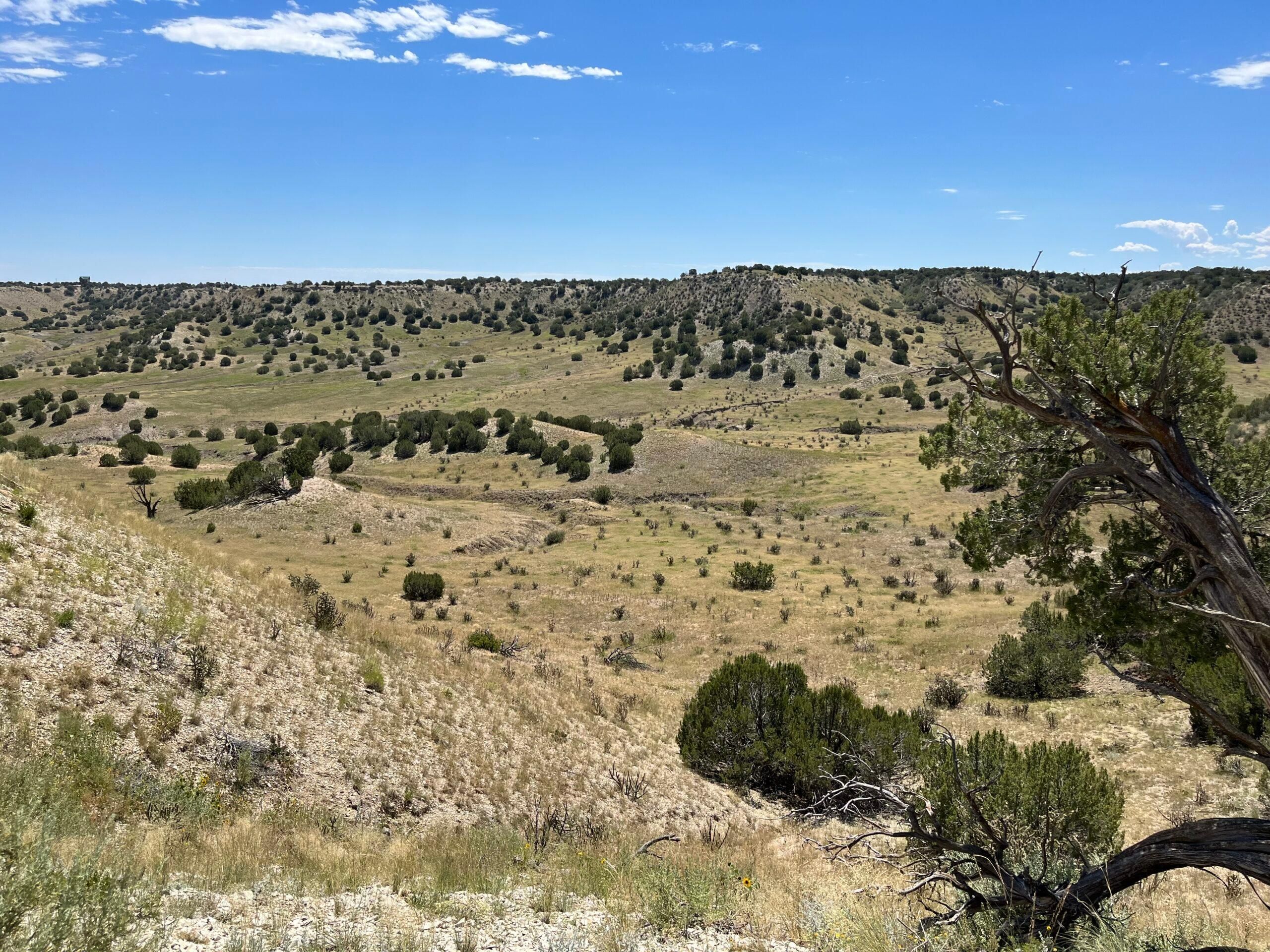 Pueblo, Pueblo County, CO Farms and Ranches, Undeveloped Land, Horse Property for sale Property