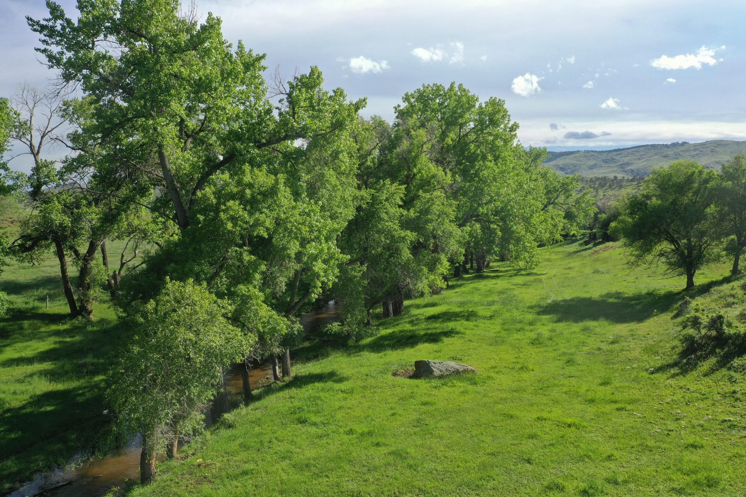 Loveland, Larimer County, CO Recreational Property, Riverfront Property, Waterfront Property for