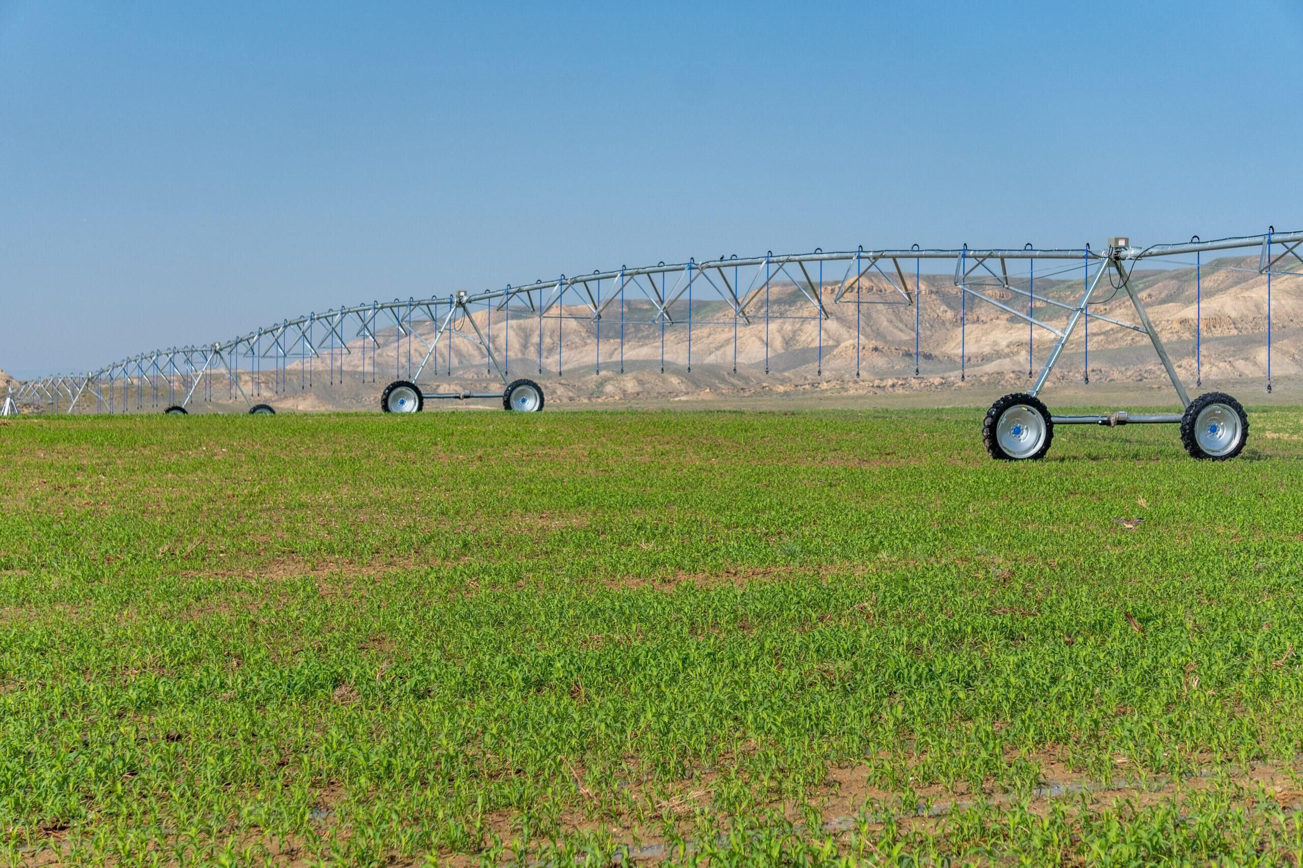 Powell, Park County, WY Farms and Ranches, Hunting Property, Horse