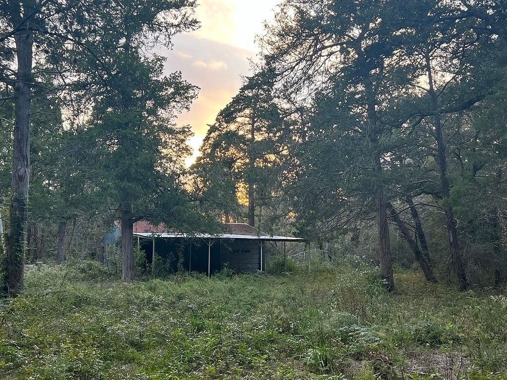 New Ulm, Austin County, TX Farms and Ranches, House for sale Property