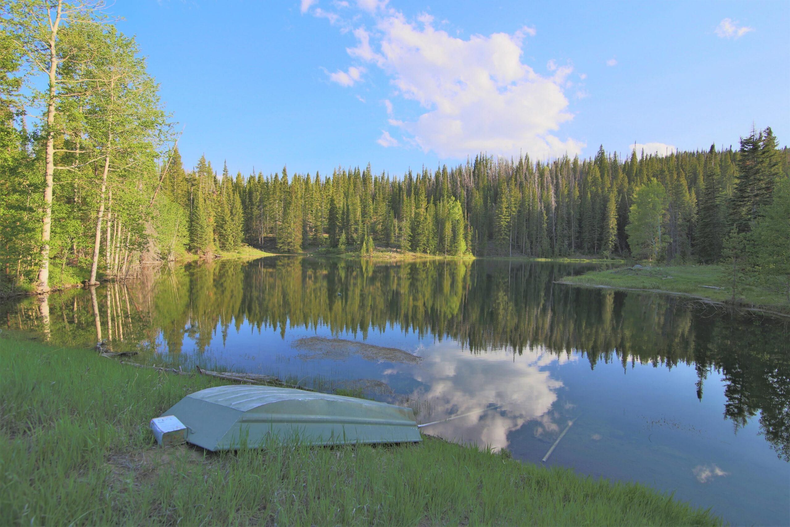 0 BLACK MTN FOREST SERVICE RD, Kremmling, CO 80459 LandWatch