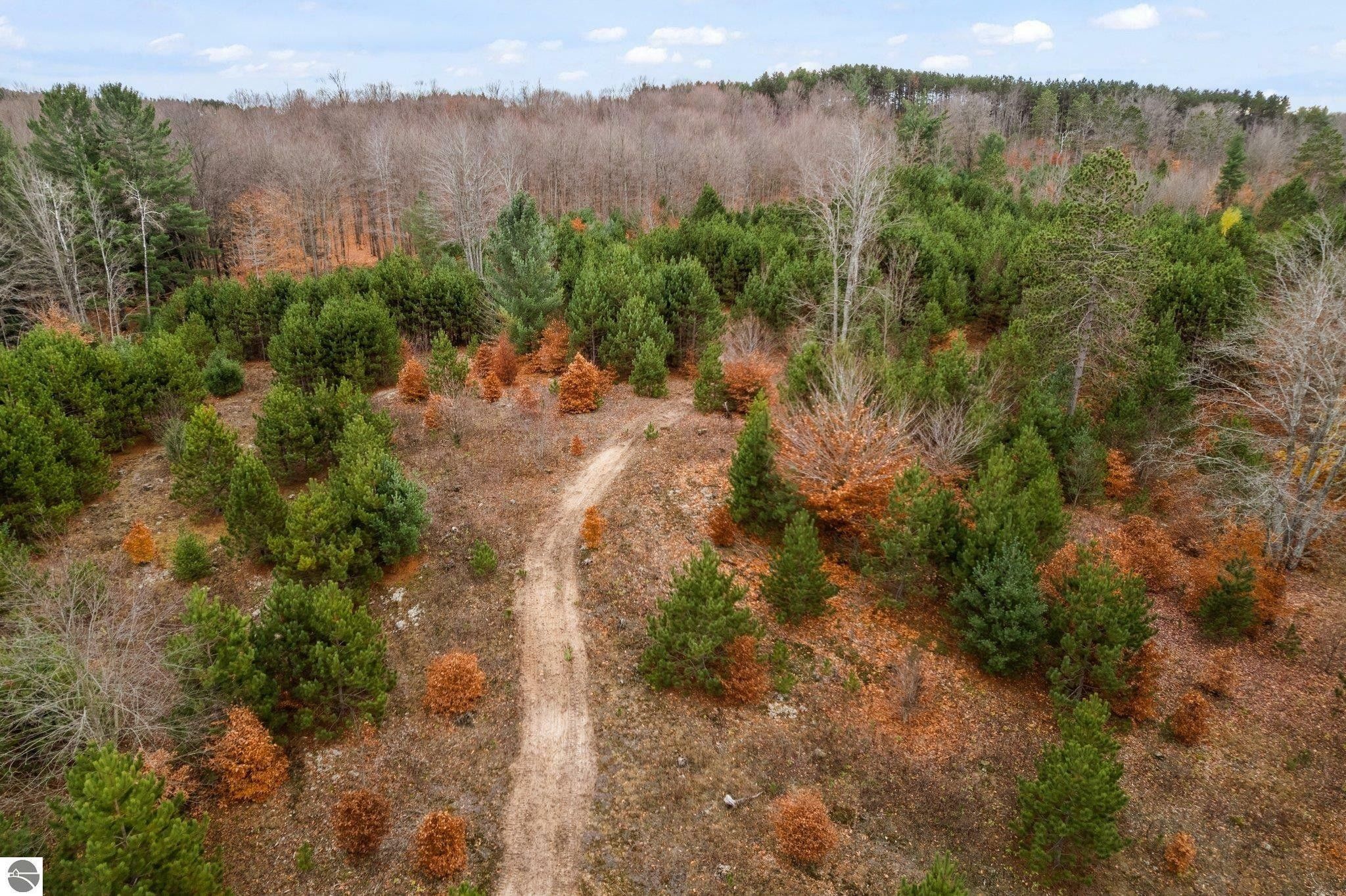 Manton, Wexford County, MI Undeveloped Land for sale Property ID