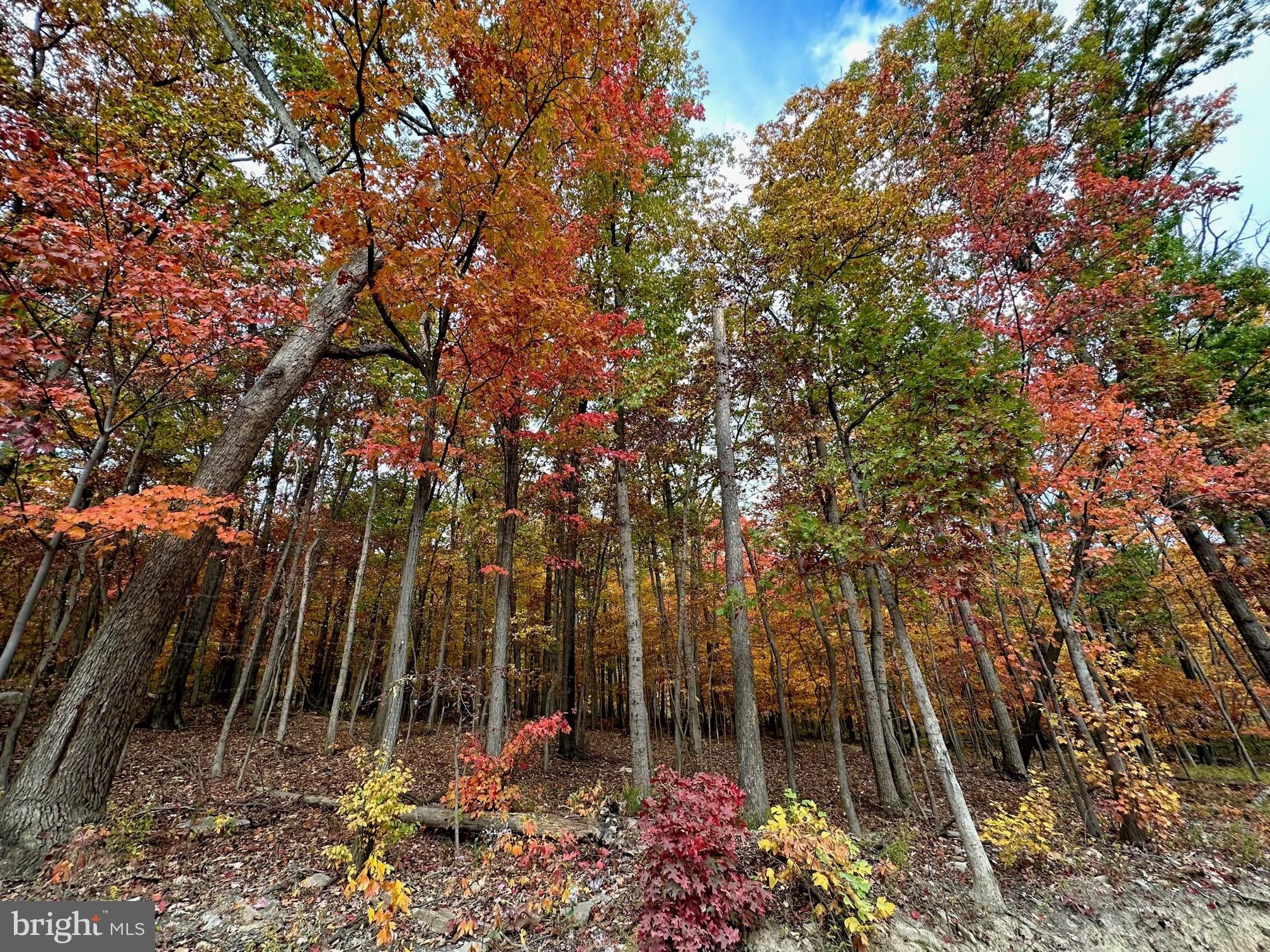 Winchester, Frederick County, VA Undeveloped Land, Homesites for sale Property ID 417435830