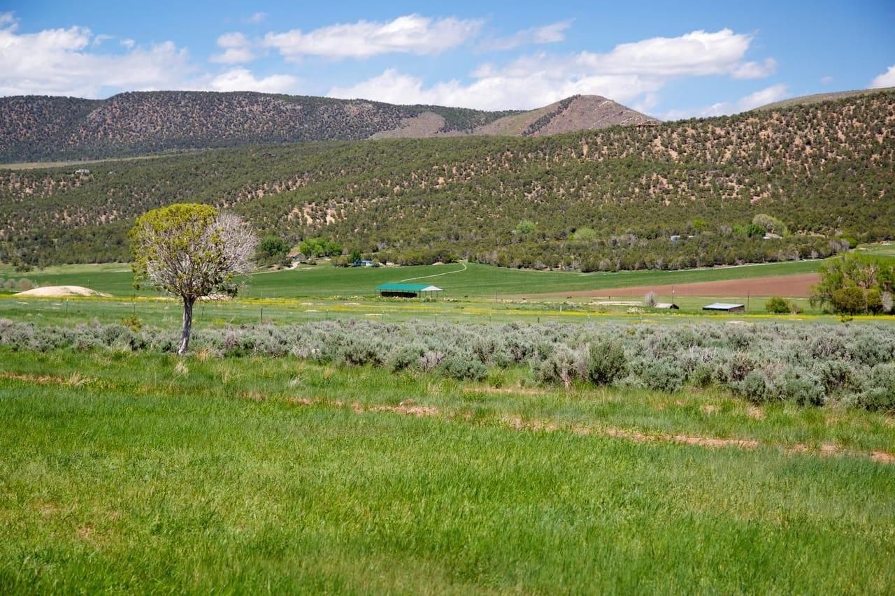 Montrose, Montrose County, CO Farms and Ranches, Undeveloped Land for sale Property ID