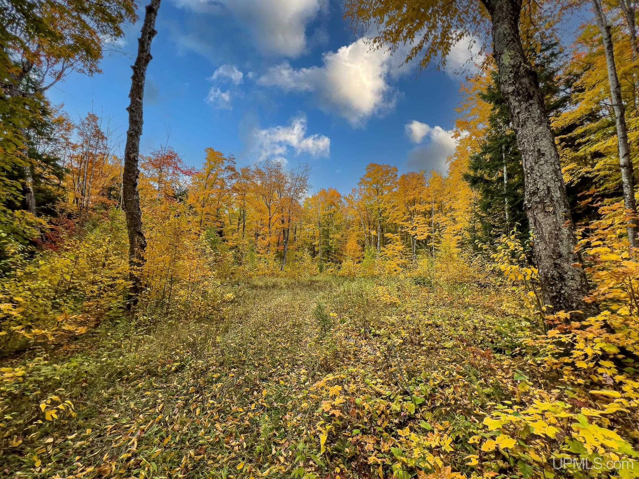 Bessemer, Gogebic County, MI Undeveloped Land, Homesites for sale