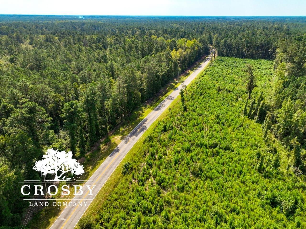 Ruffin, Colleton County, SC Recreational Property, Hunting Property for