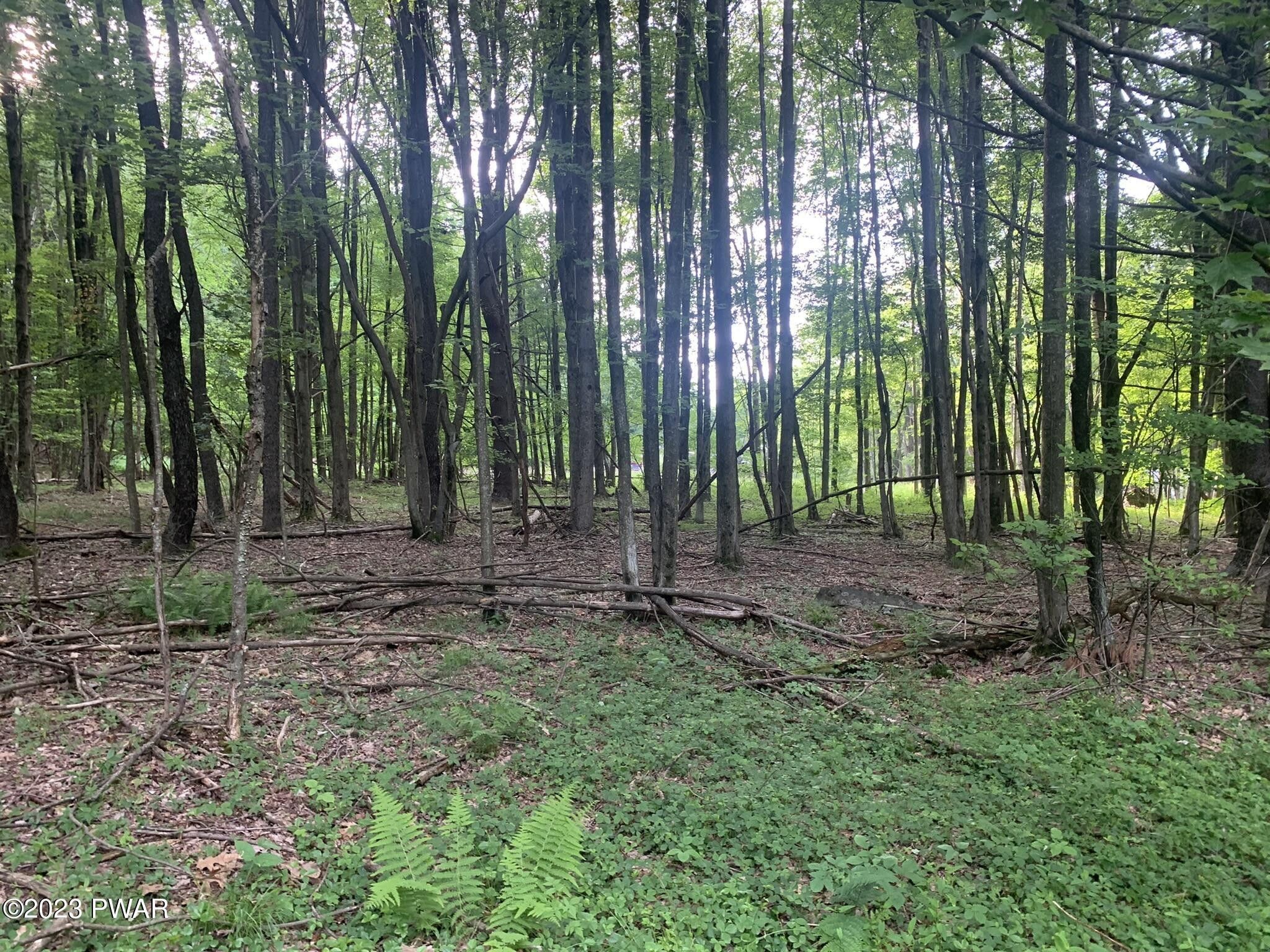 Jefferson Township, Lackawanna County, PA Undeveloped Land for sale