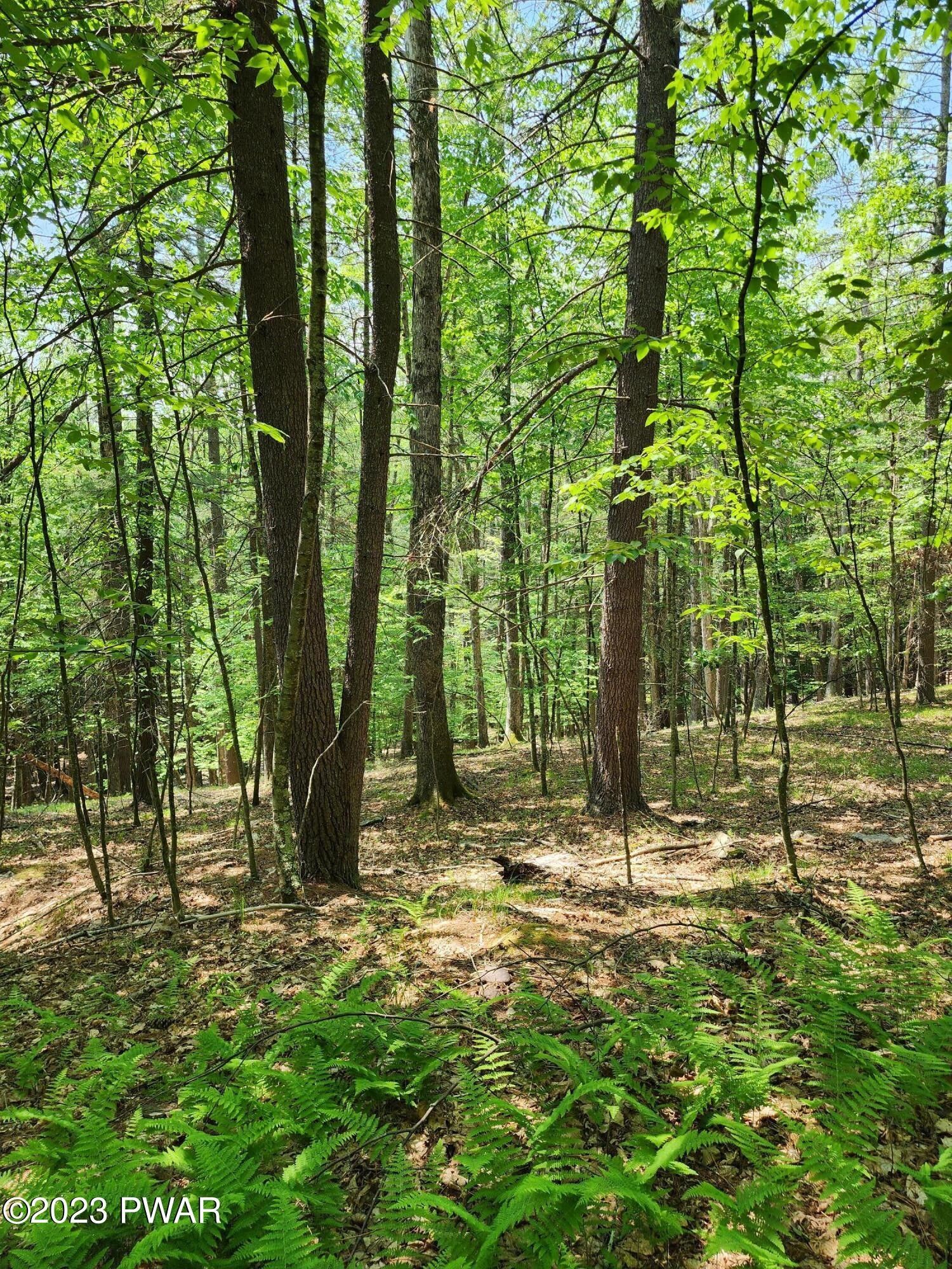 Hawley, Pike County, PA Undeveloped Land, Homesites for sale Property