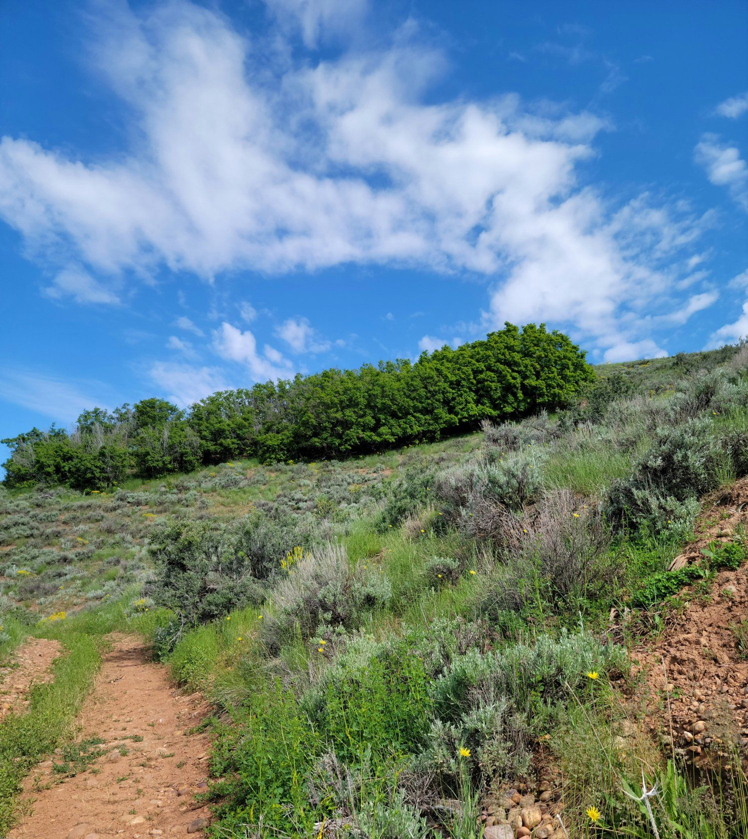 Huntsville, er County, UT Undeveloped Land, House for sale Property