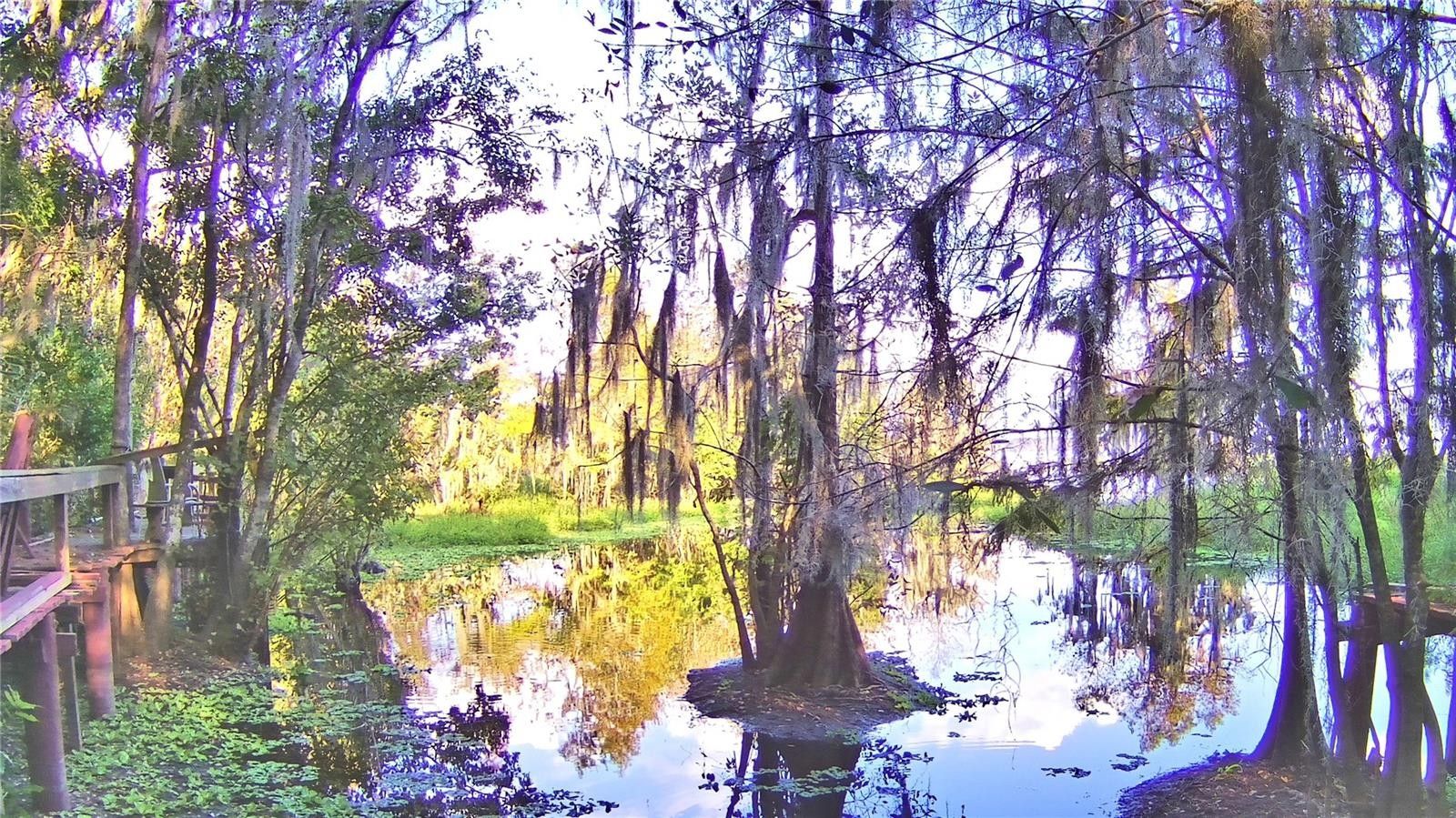Frostproof, Polk County, FL Lakefront Property, Waterfront Property