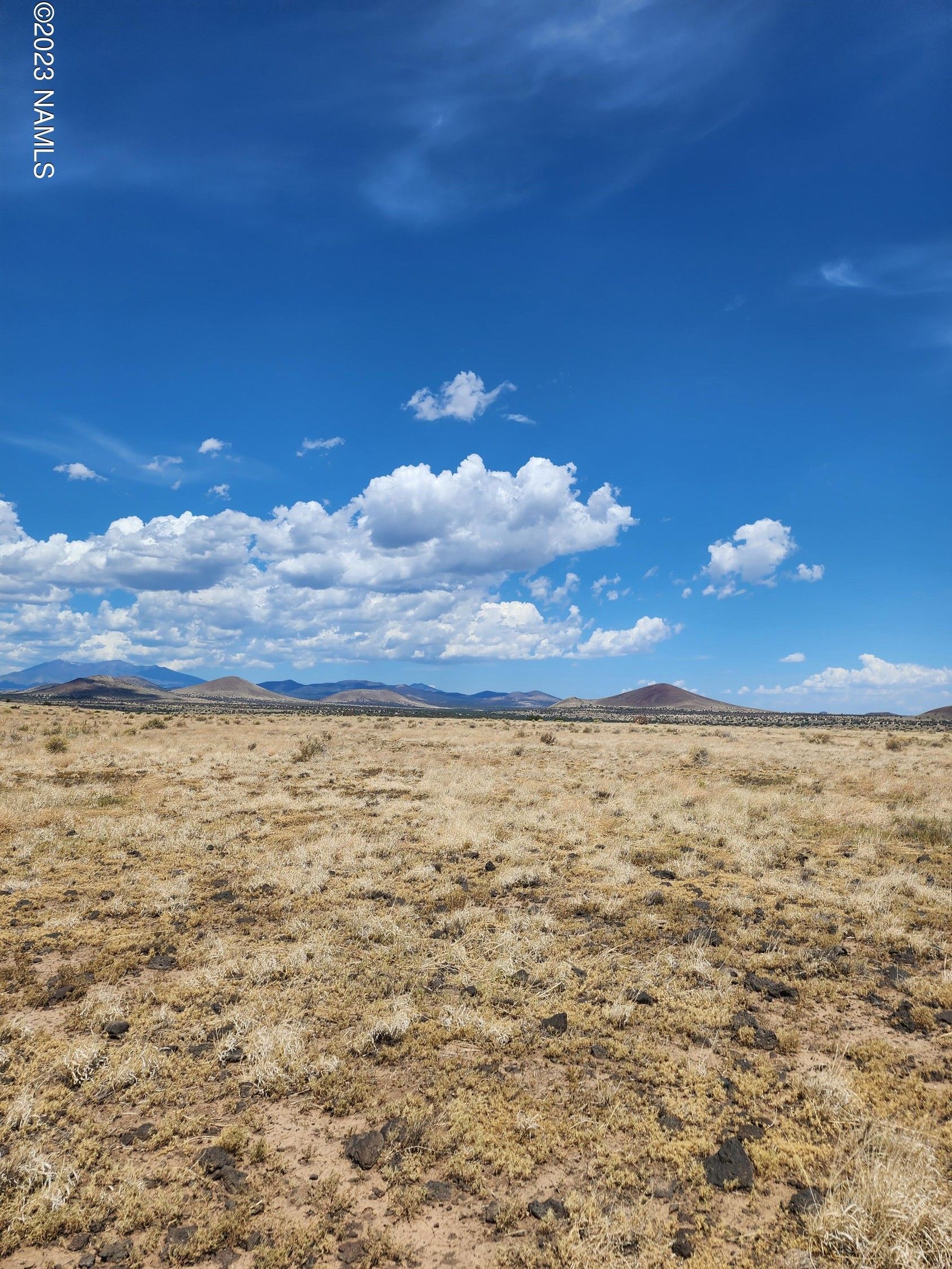 Flagstaff, Coconino County, AZ Undeveloped Land for sale Property ID