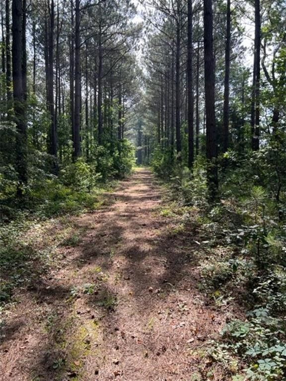 Plain Dealing, Bossier Parish, LA Undeveloped Land for sale Property ID