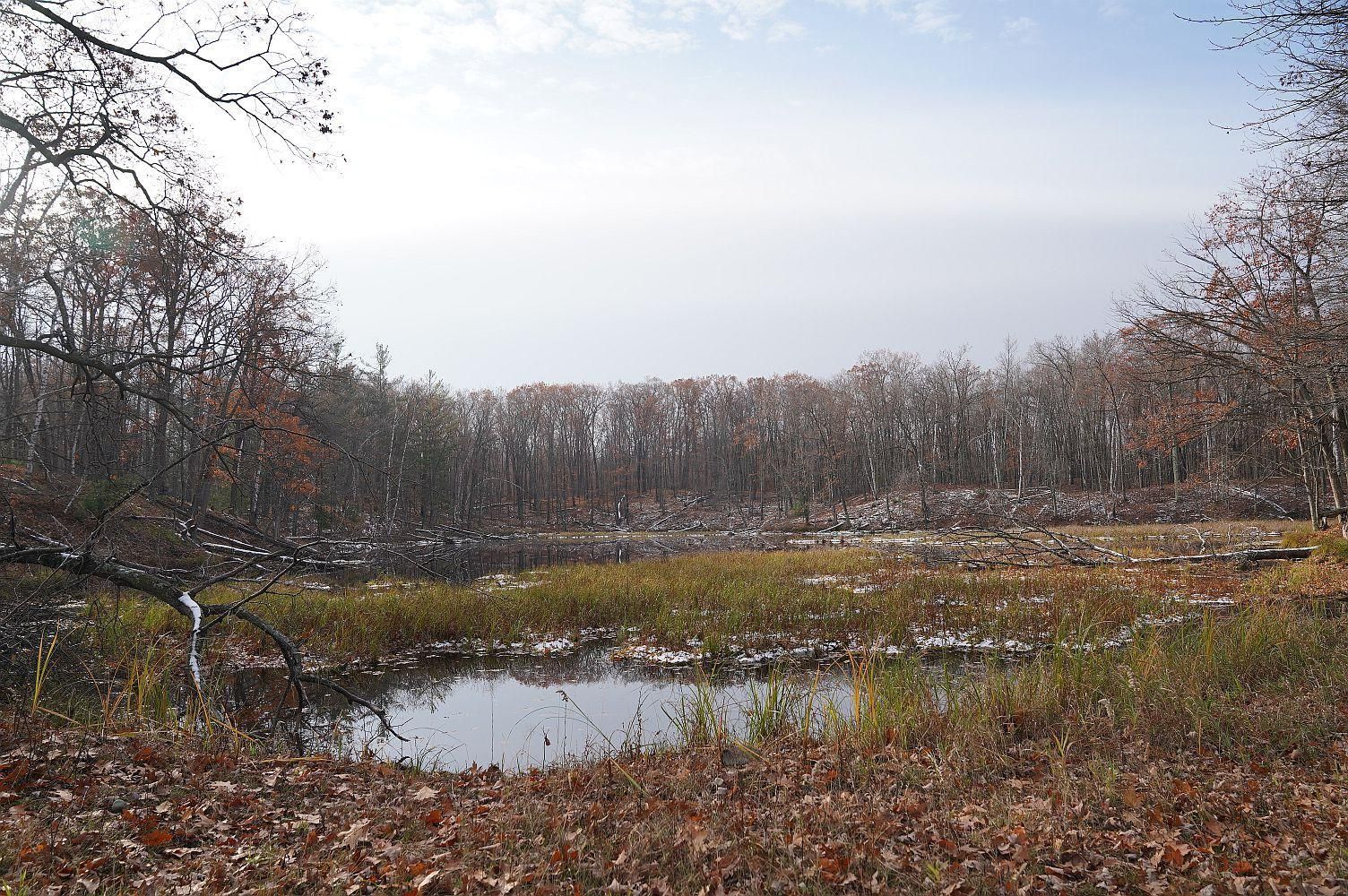 County Rd W, Weyerhaeuser, WI 54895 MLS 1578166 LandWatch