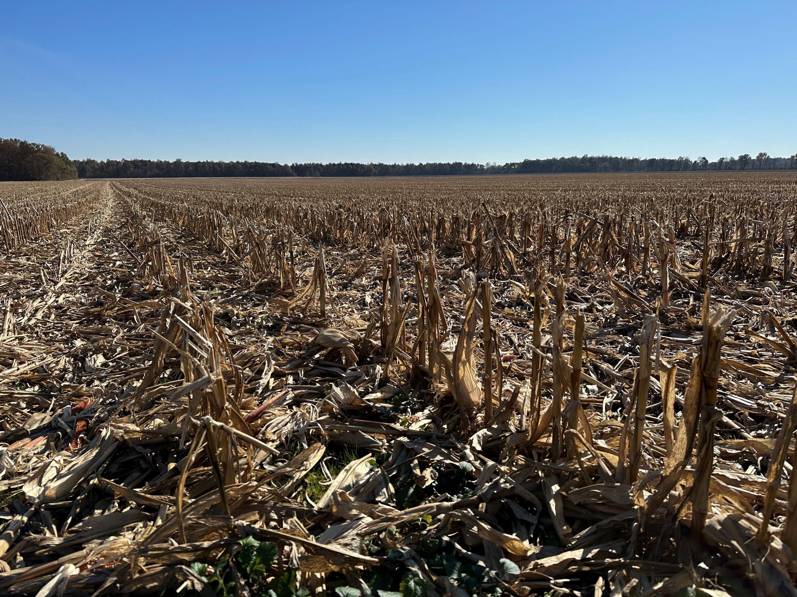 Slaughters, Hopkins County, KY Farms and Ranches, Recreational Property