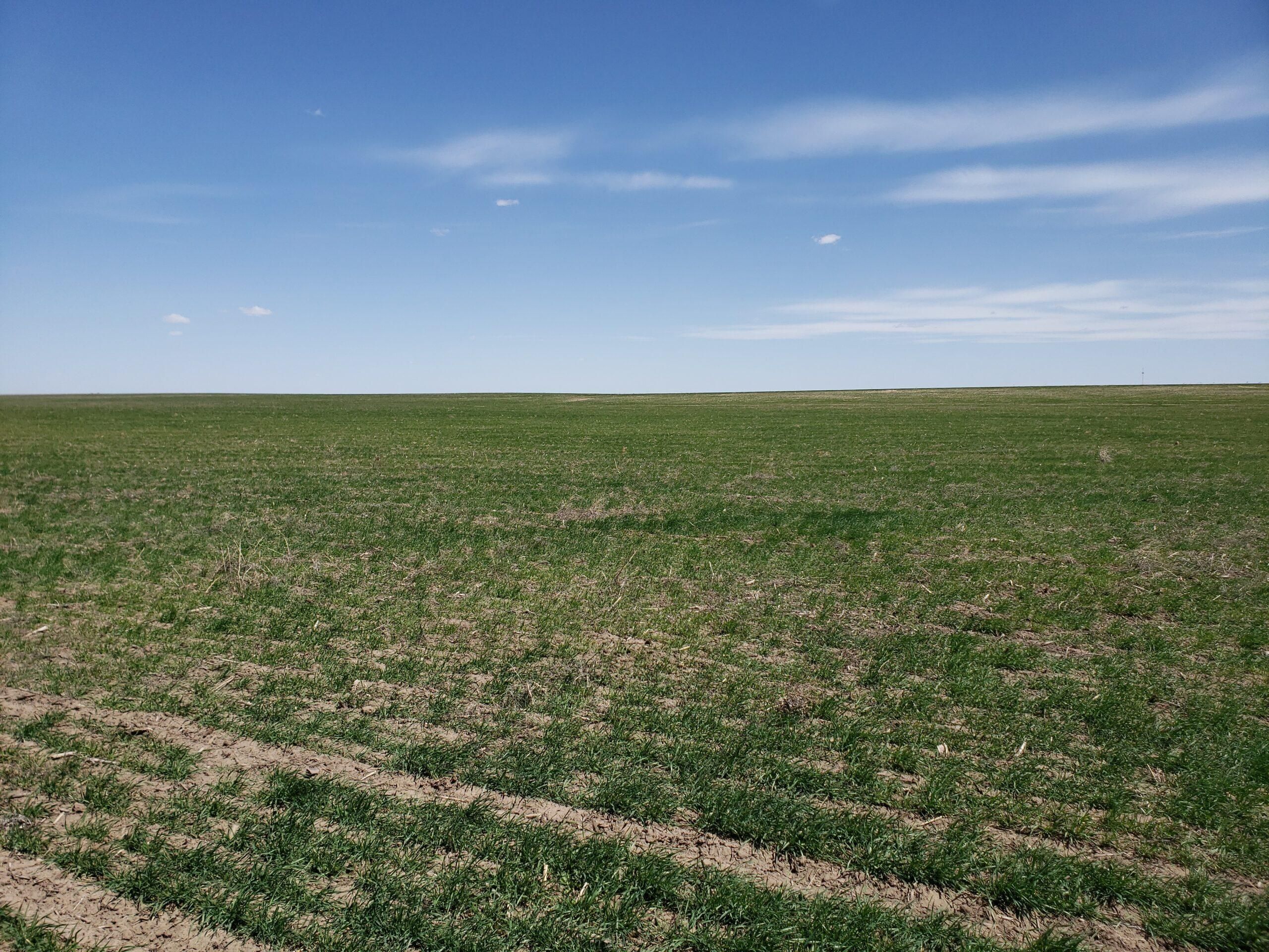 Chappell, Deuel County, NE Farms and Ranches, Hunting Property for