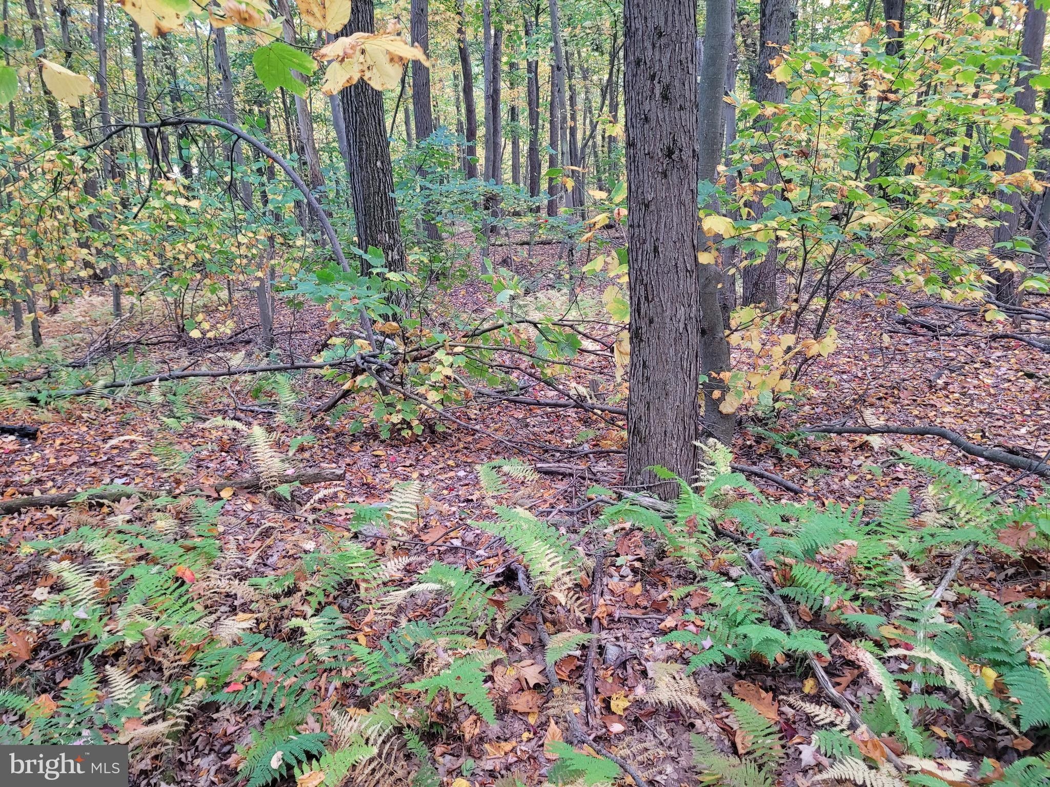 Claysburg, Blair County, PA Undeveloped Land, Homesites for sale