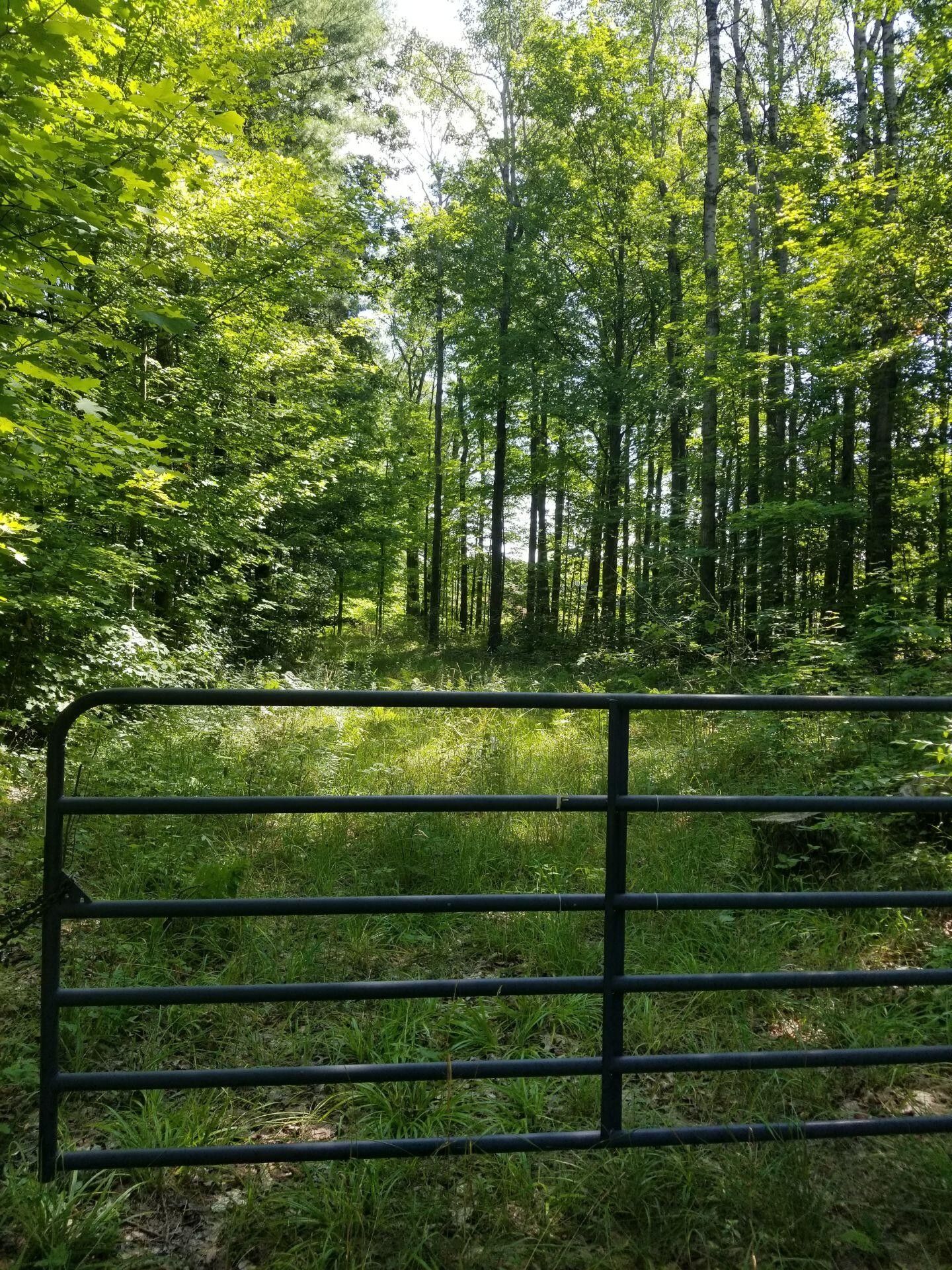 New Era, Oceana County, MI Undeveloped Land, Lakefront Property