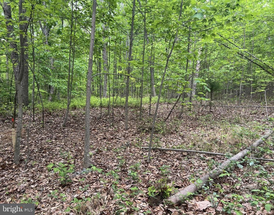 Midland, Fauquier County, VA Undeveloped Land for sale Property ID