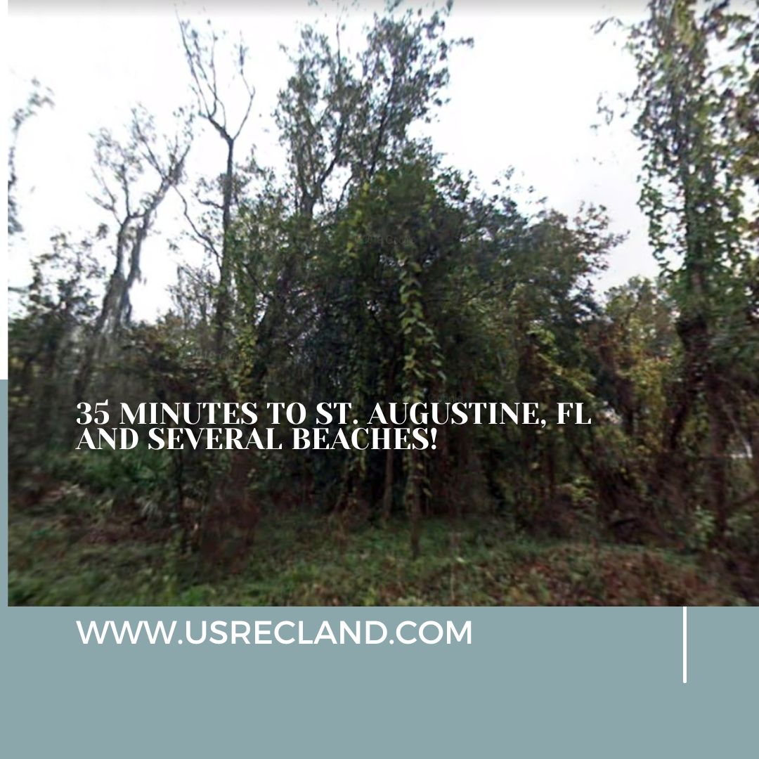 Hastings, Saint Johns County, FL Timberland Property, Undeveloped Land