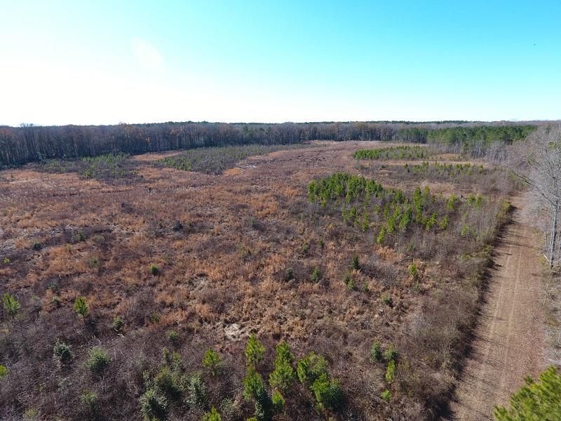 Garland, Sampson County, NC Recreational Property, Hunting Property