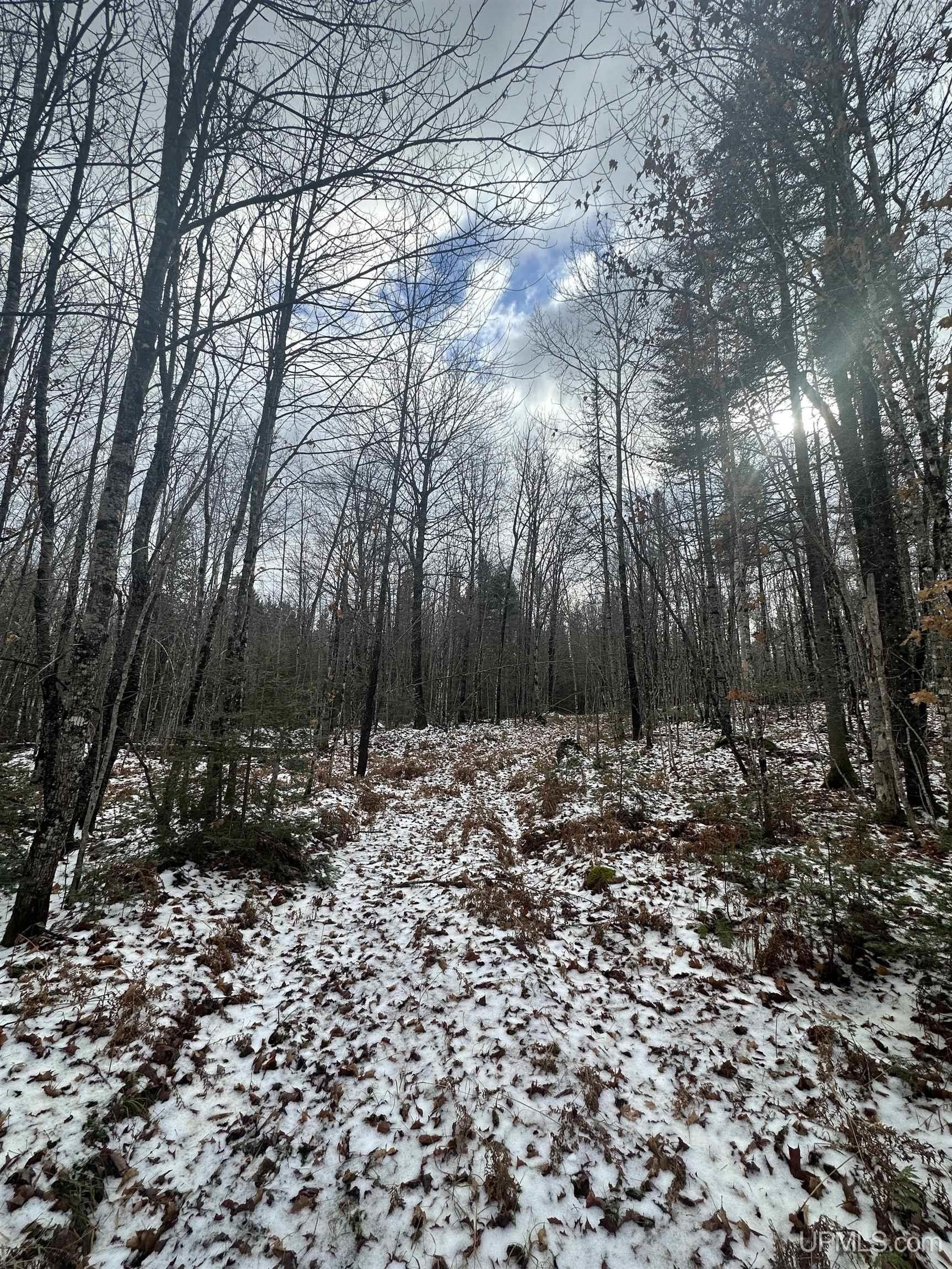 Champion, Marquette County, MI Undeveloped Land for sale Property ID