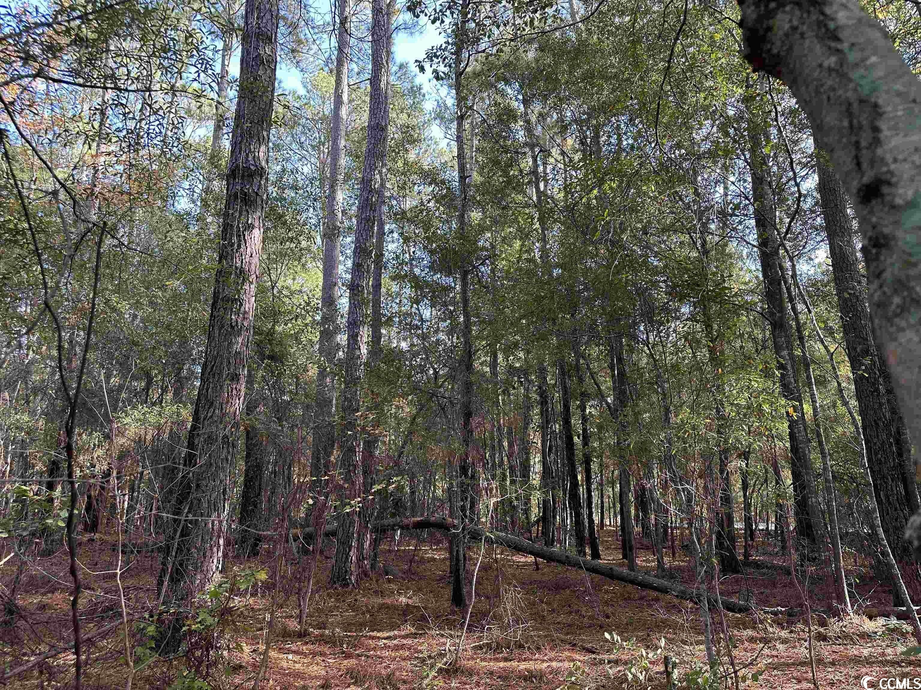 Kingstree, Williamsburg County, SC Homesites for sale Property ID