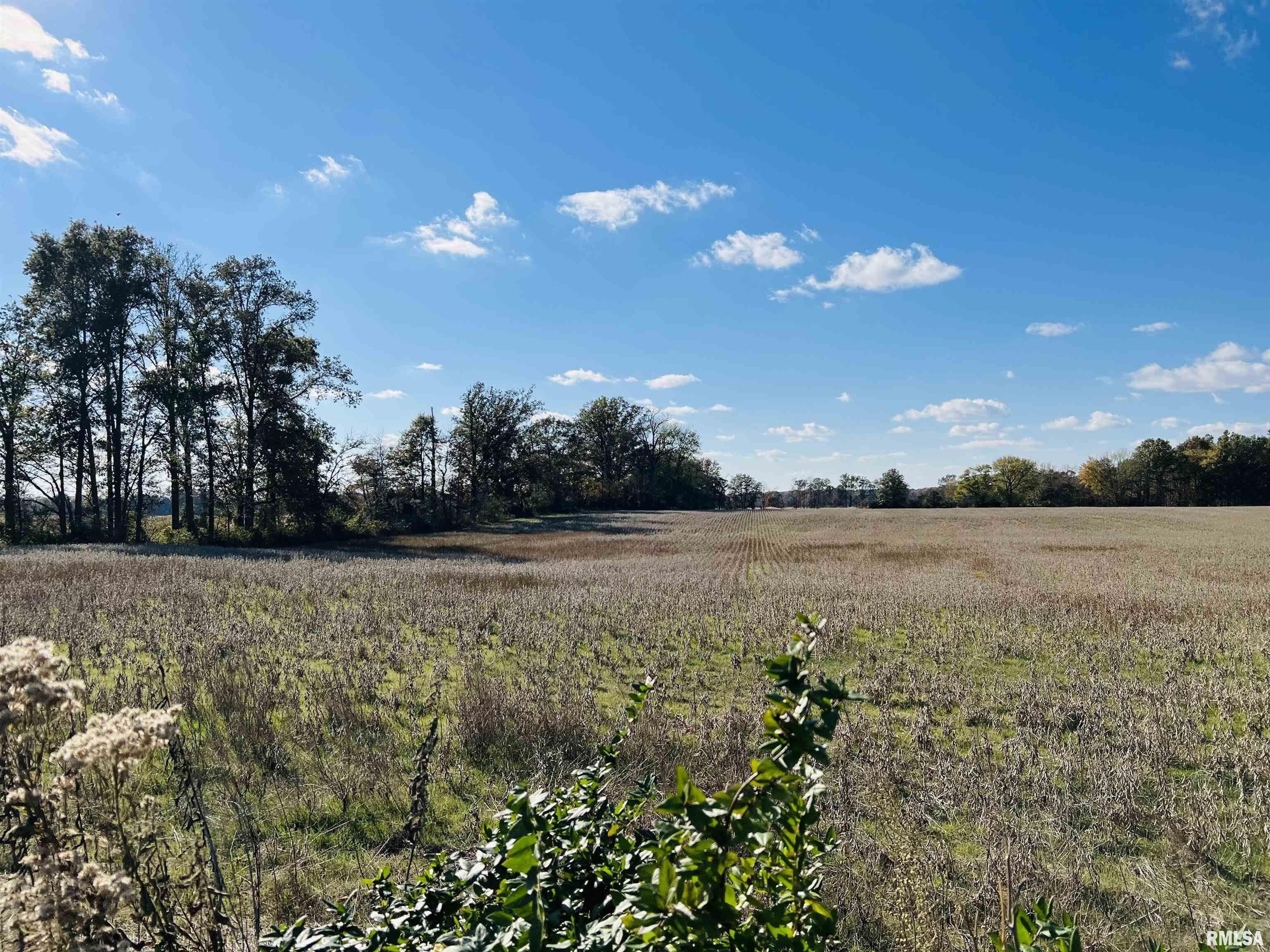 Mcleansboro, Hamilton County, IL Undeveloped Land for sale Property ID