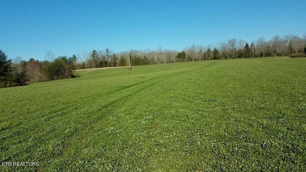 Lancing, County, TN for sale Property ID 418180660 LandWatch