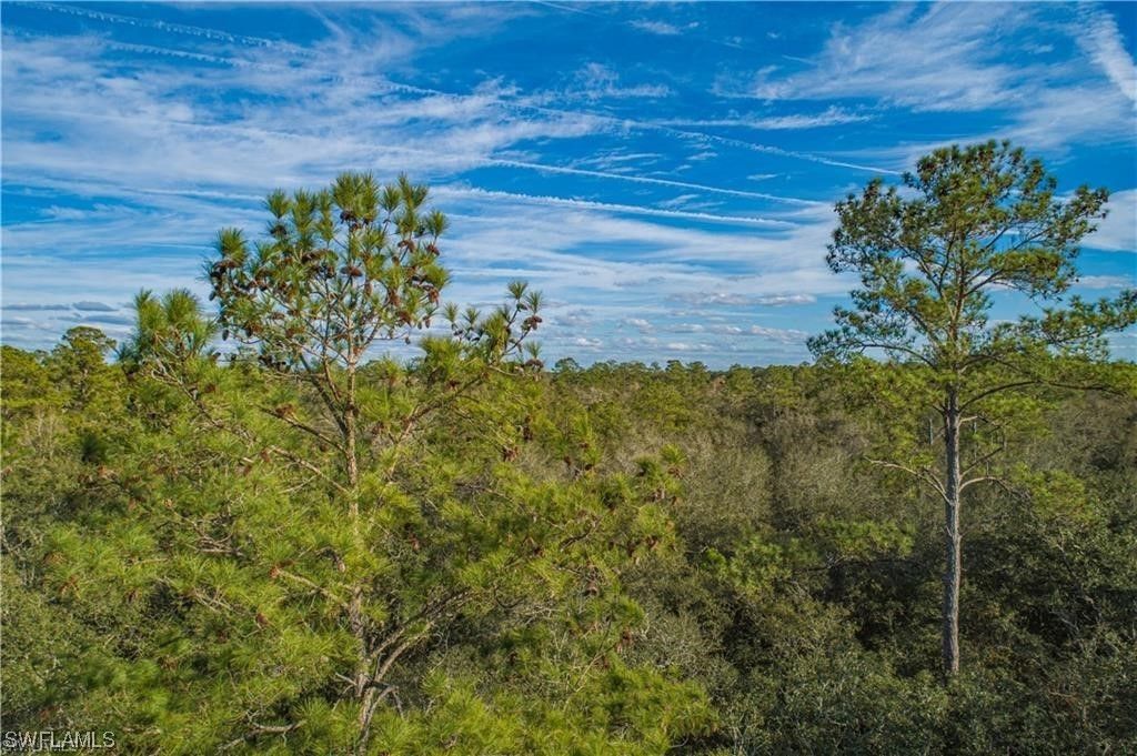 Branford, Lafayette County, FL Undeveloped Land, Homesites for sale