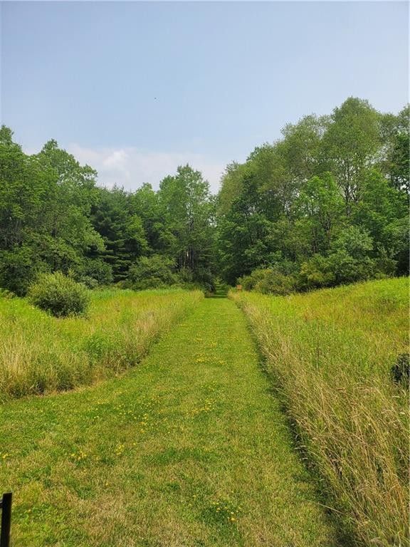 Fillmore, Allegany County, NY Undeveloped Land for sale Property ID
