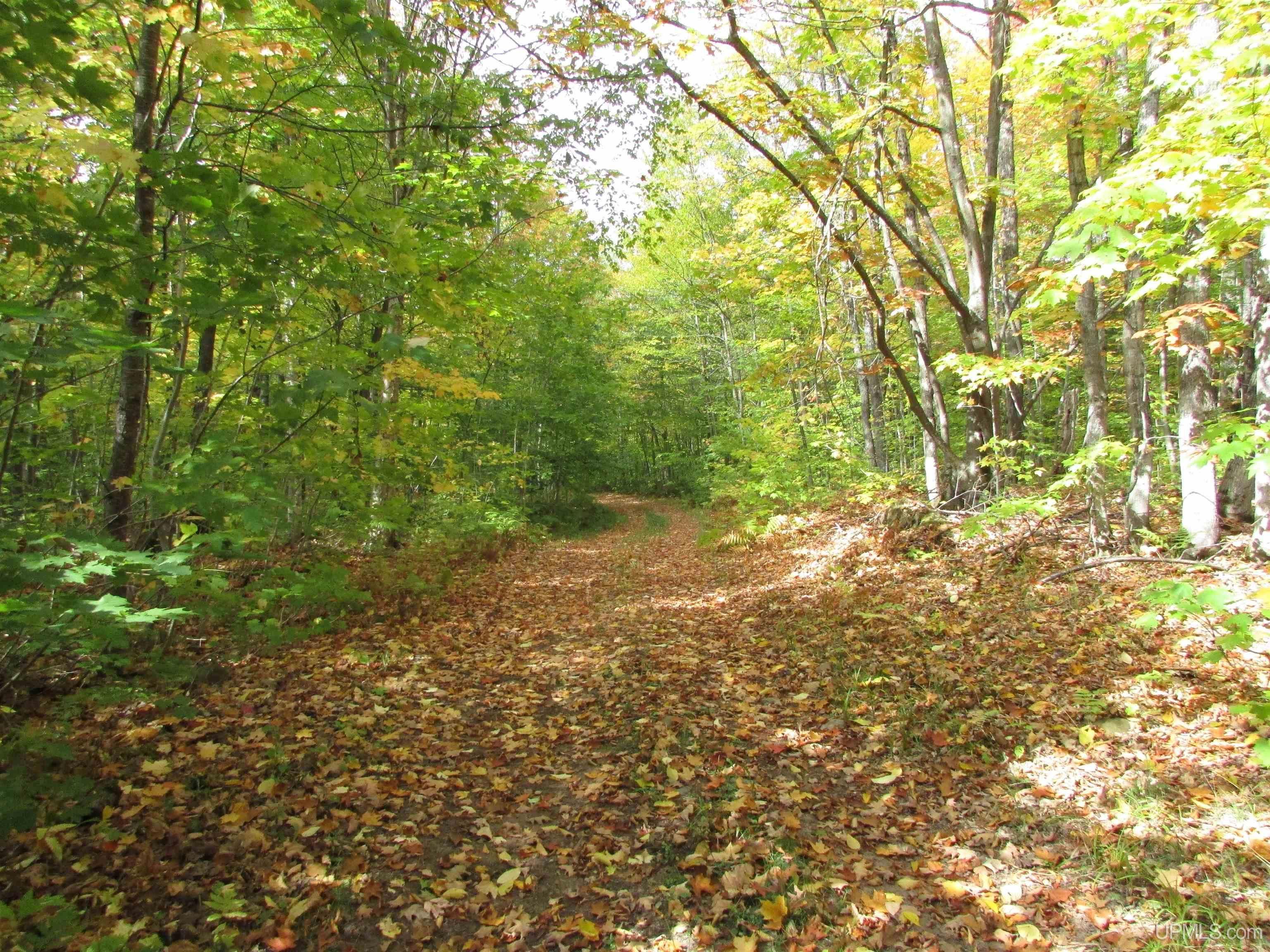 Toivola, Houghton County, MI Undeveloped Land for sale Property ID