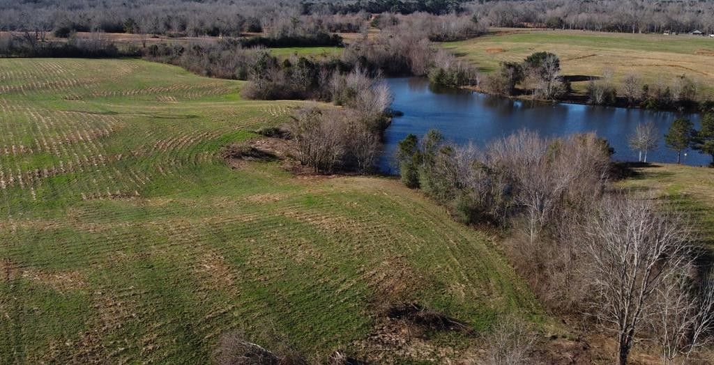 Carriere, Pearl River County, MS Undeveloped Land, Lakefront Property