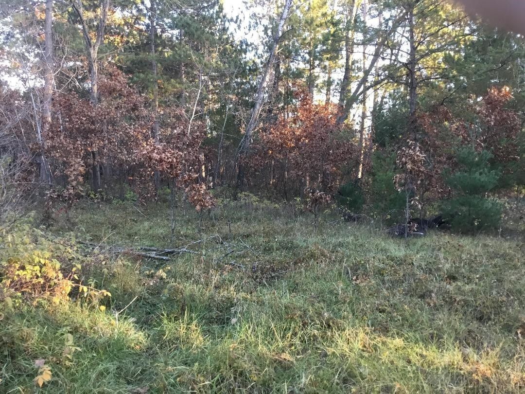 Arkdale, Adams County, WI Undeveloped Land for sale Property ID