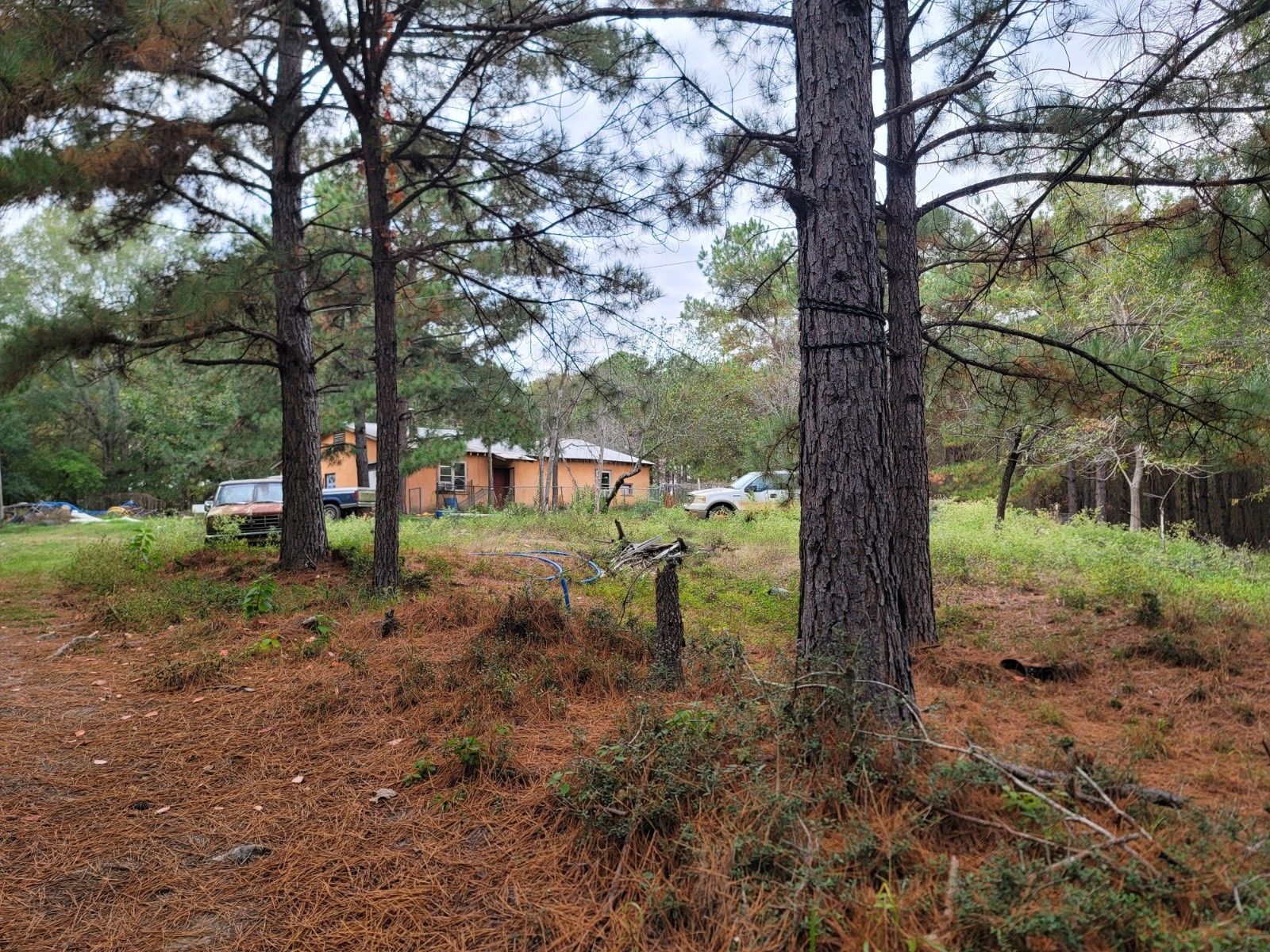 Many, Sabine Parish, LA Undeveloped Land for sale Property ID