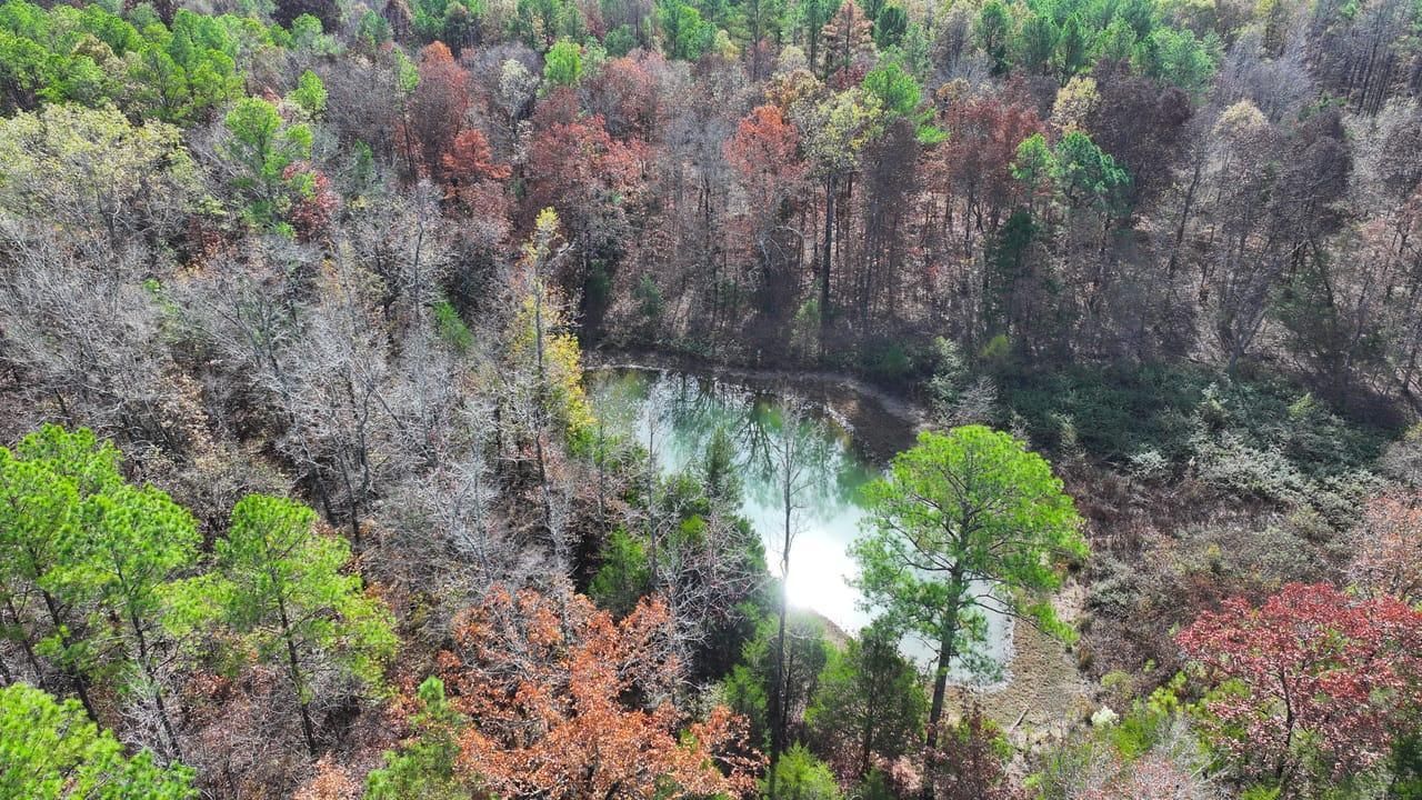 Maben, ster County, MS Recreational Property, Undeveloped Land