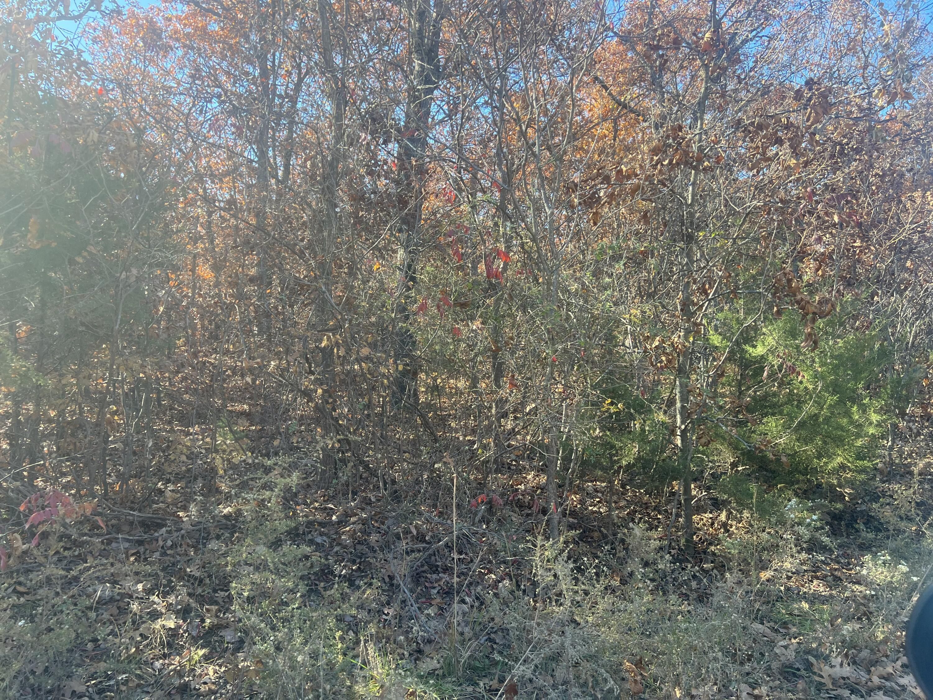 Humansville, Polk County, MO Undeveloped Land for sale Property ID