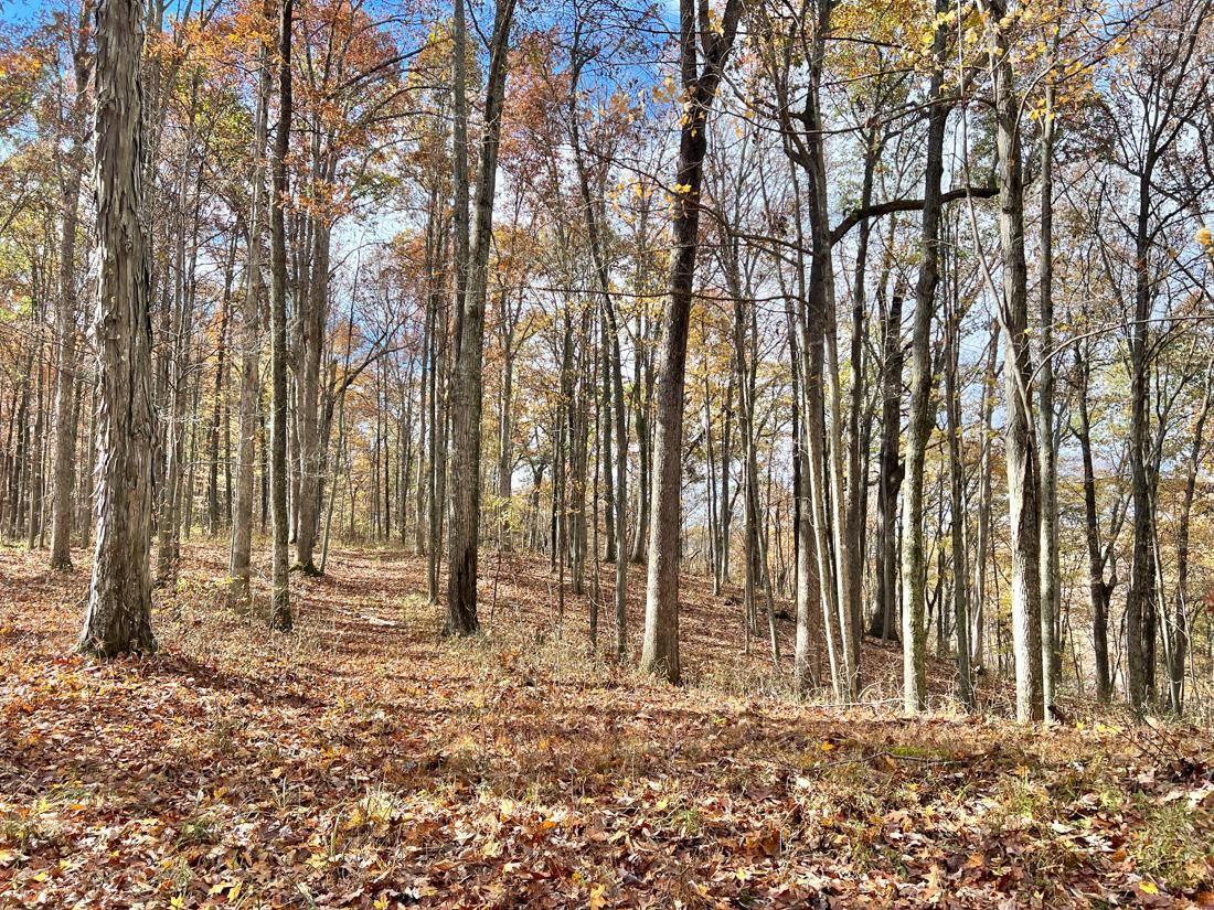 West Virginia 4, Gassaway, WV 25113 LandWatch