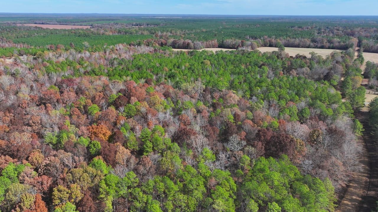 Berry rd, Maben, MS 39750 LandWatch