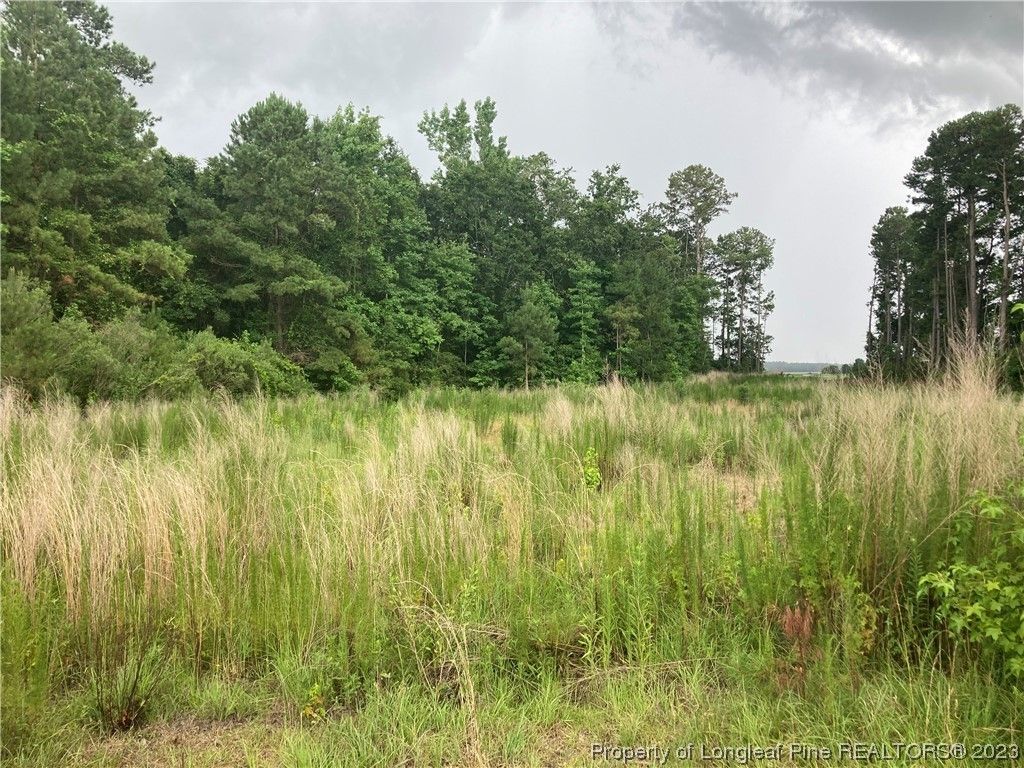 Salemburg, Sampson County, NC Undeveloped Land, Homesites for sale