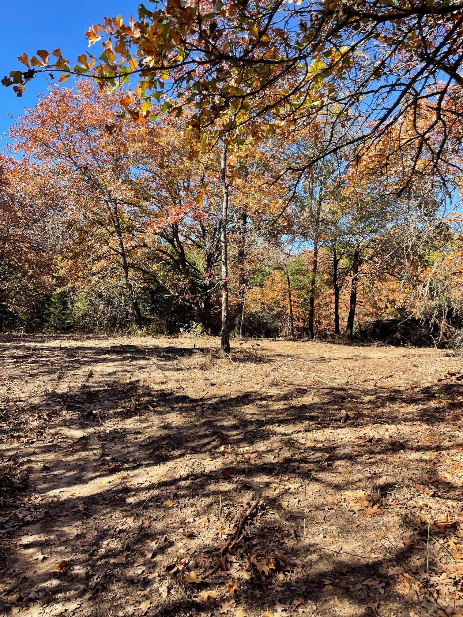 12.79 acres in Tishomingo, OK, 73460 LandWatch