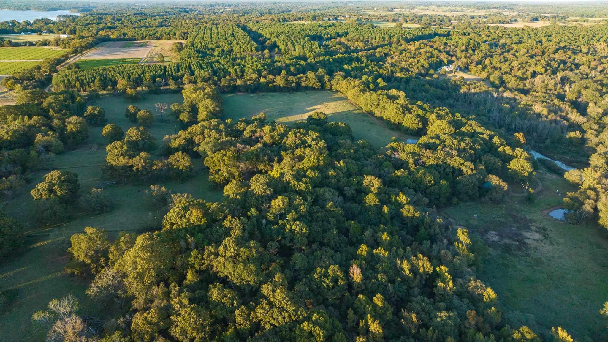 TBD Fm 3198 W, Jacksonville, TX 75766 MLS GTAR 23015324 LandWatch