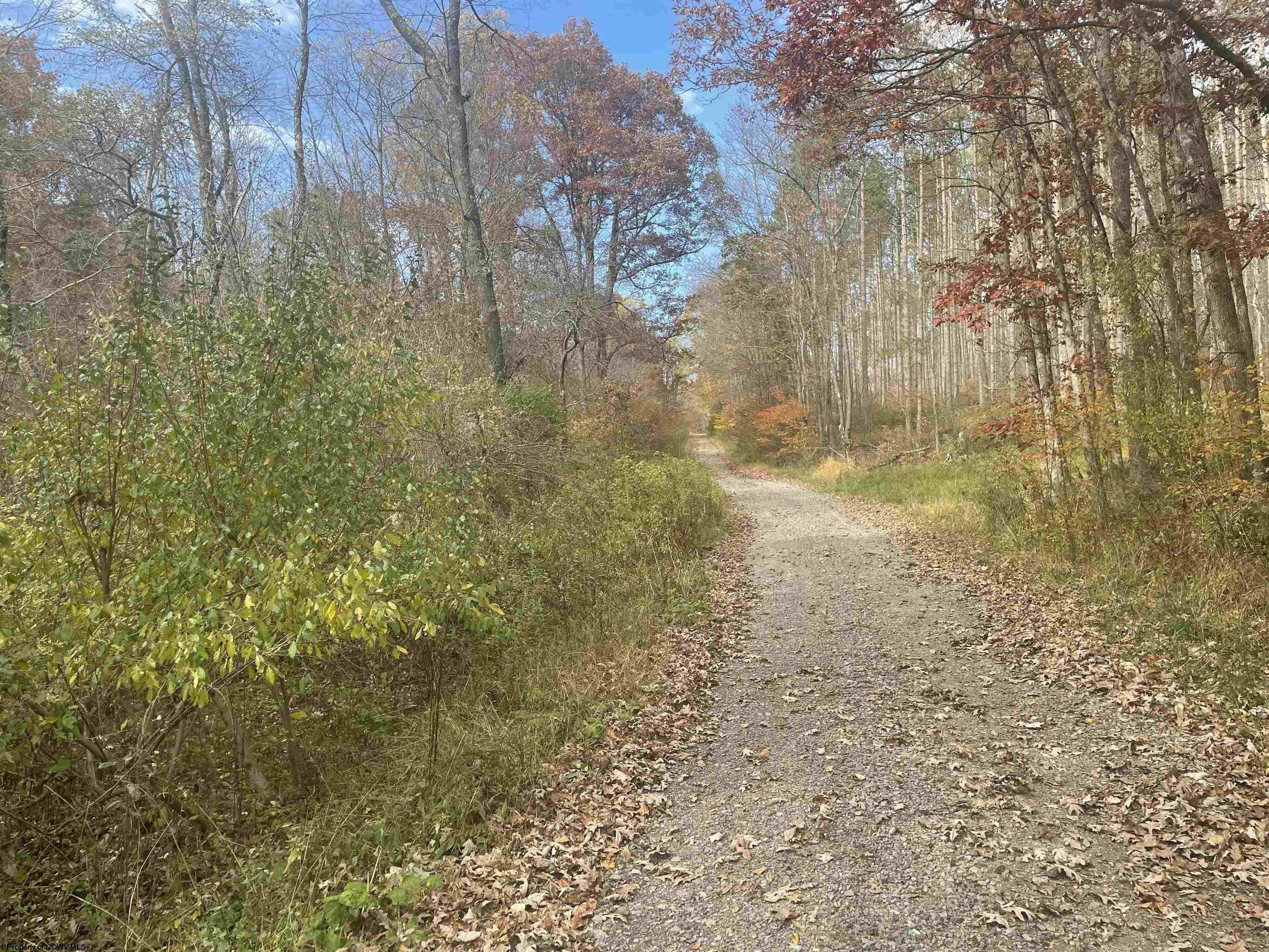 Lot 1 998 Hanlin Road, Bruceton Mills, WV 26525 MLS 10151908 LandWatch