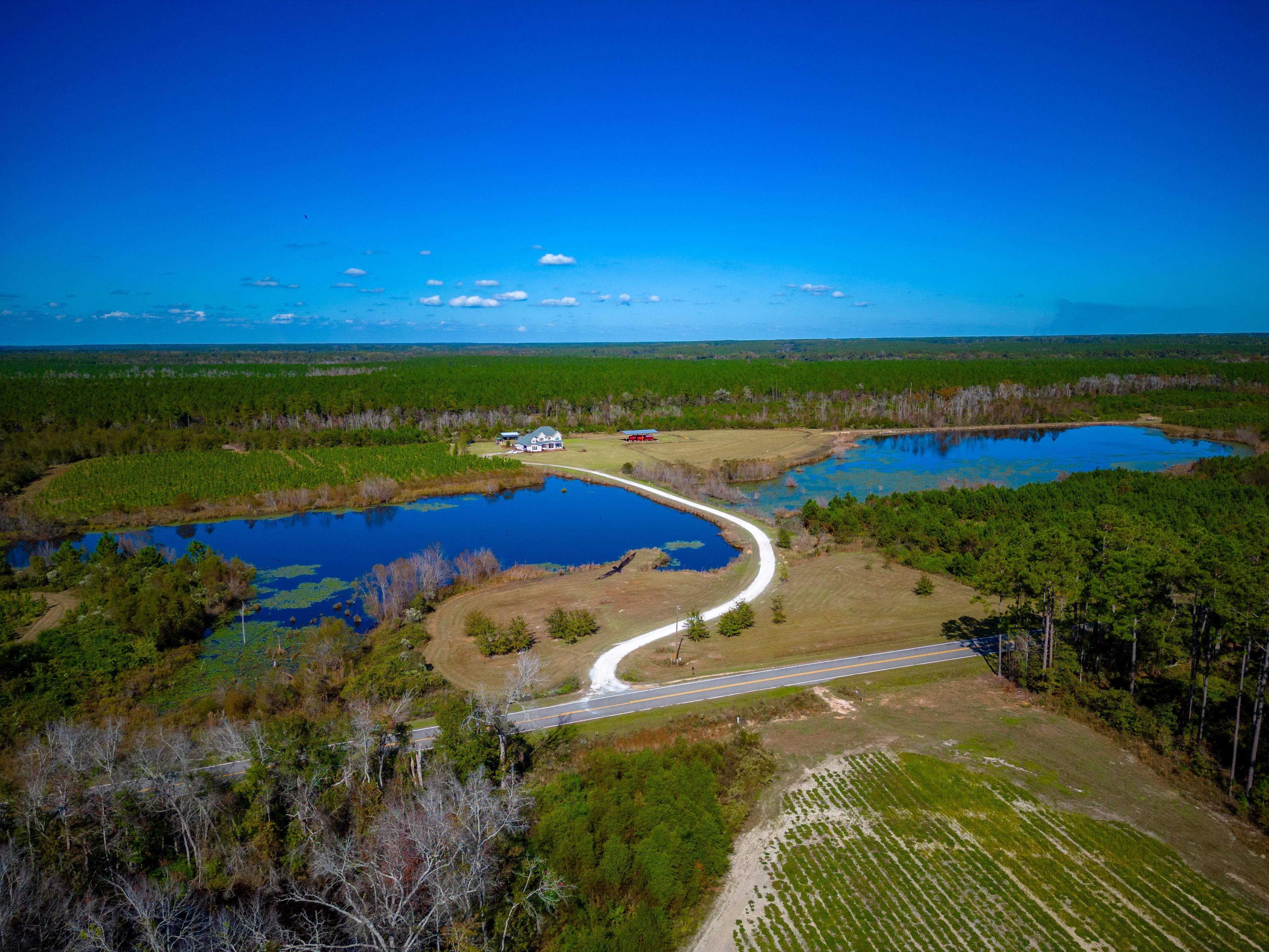 Wray, Glynn County, GA Farms and Ranches, Timberland Property, Hunting
