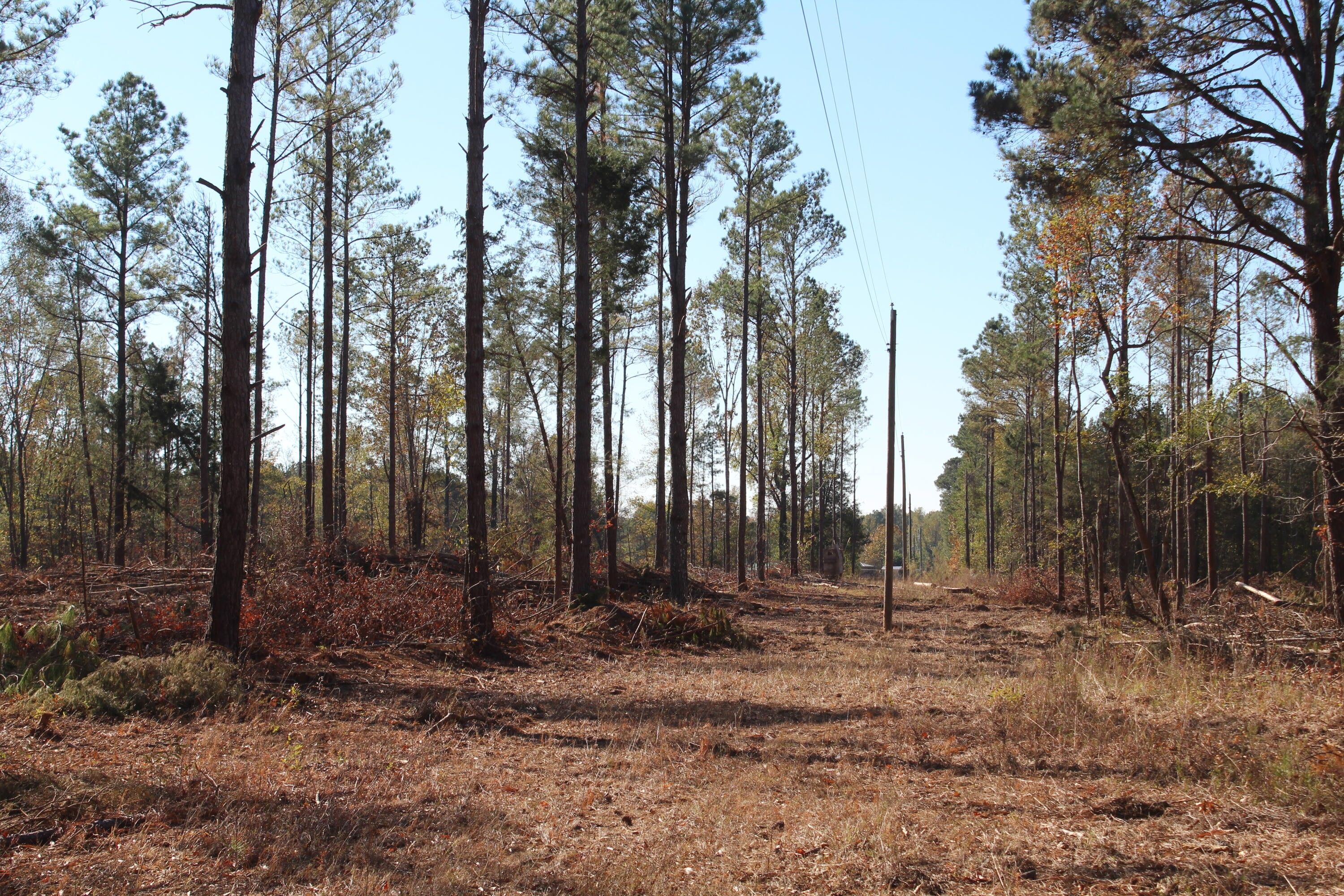 West Point, Clay County, MS Homesites for sale Property ID 418272211