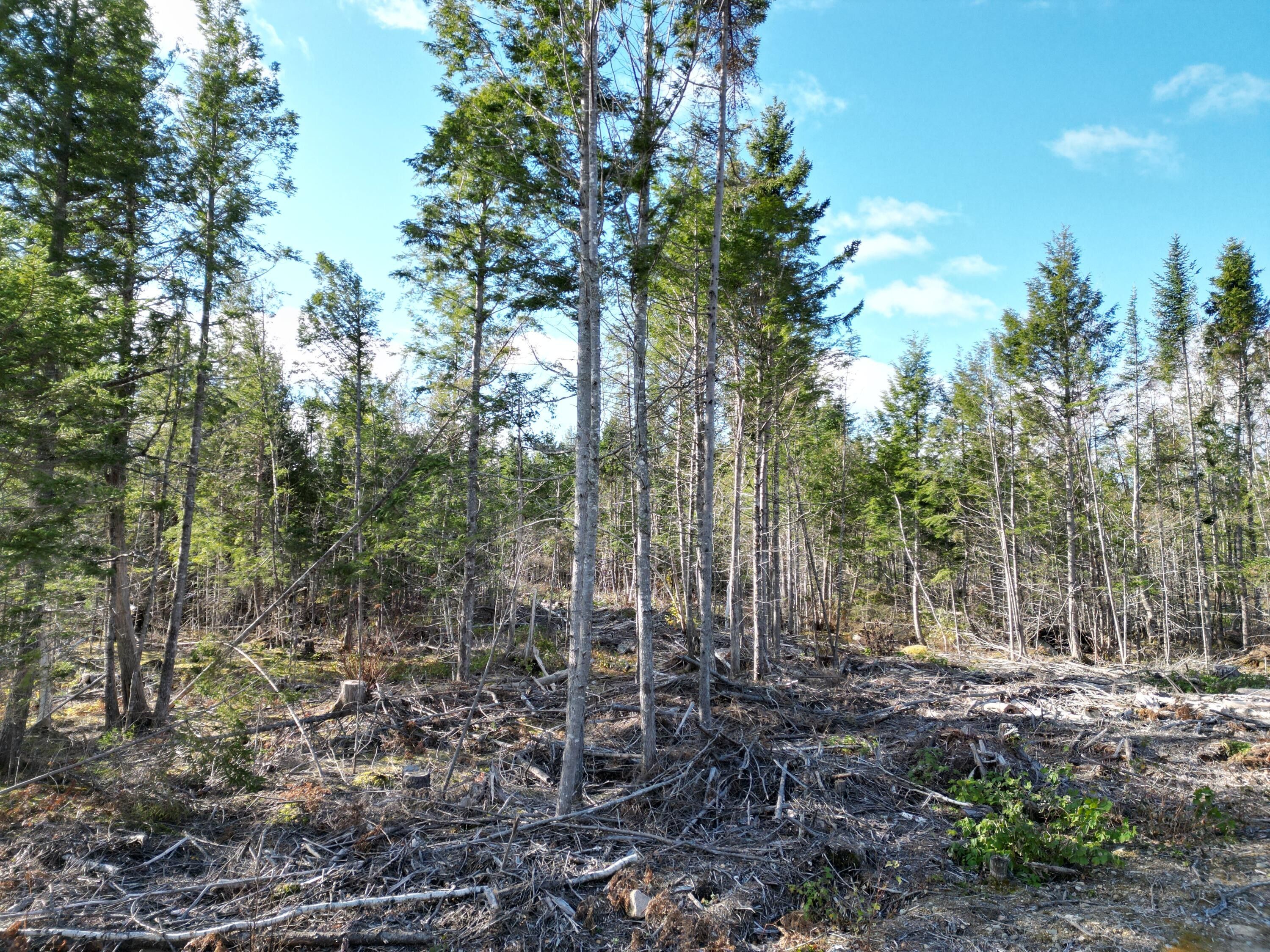 Mattawamkeag, Penobscot County, ME Undeveloped Land for sale Property