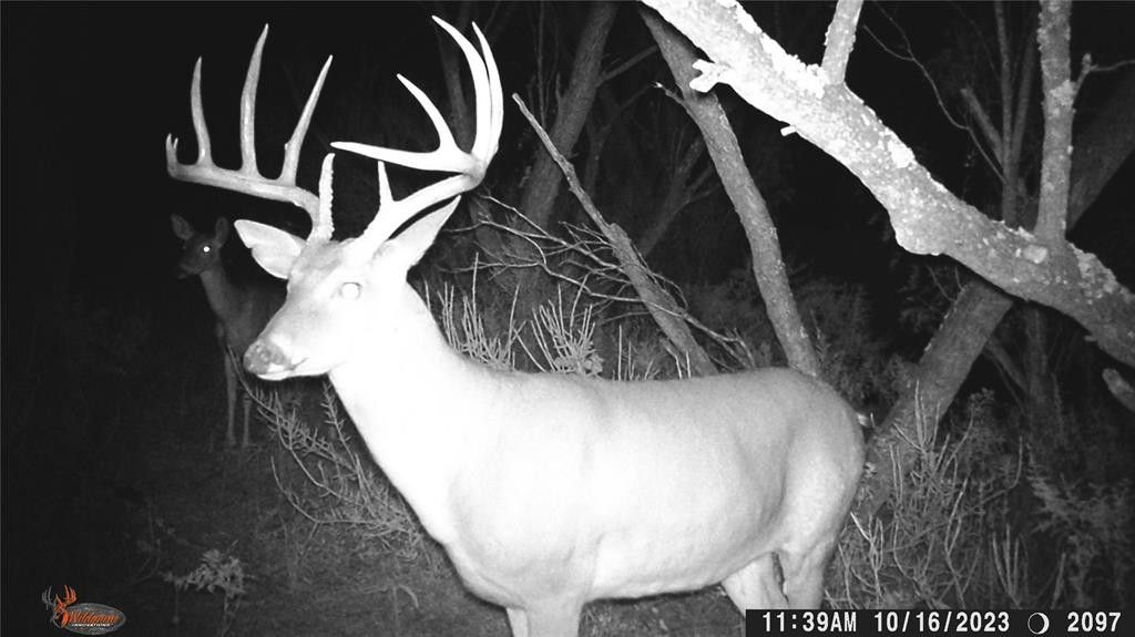 Brownwood, Brown County, TX Farms and Ranches for sale Property ID