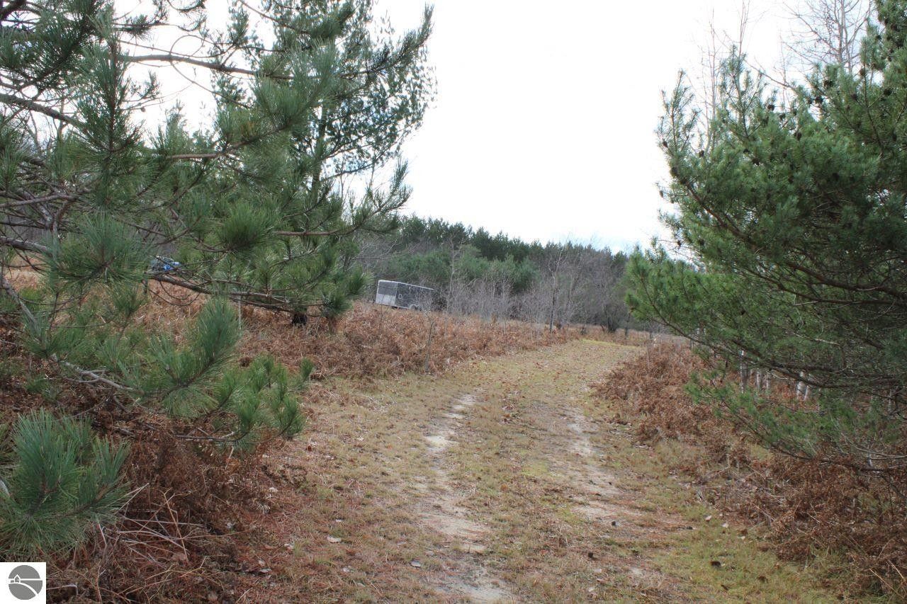 Mancelona, Antrim County, MI Undeveloped Land for sale Property ID