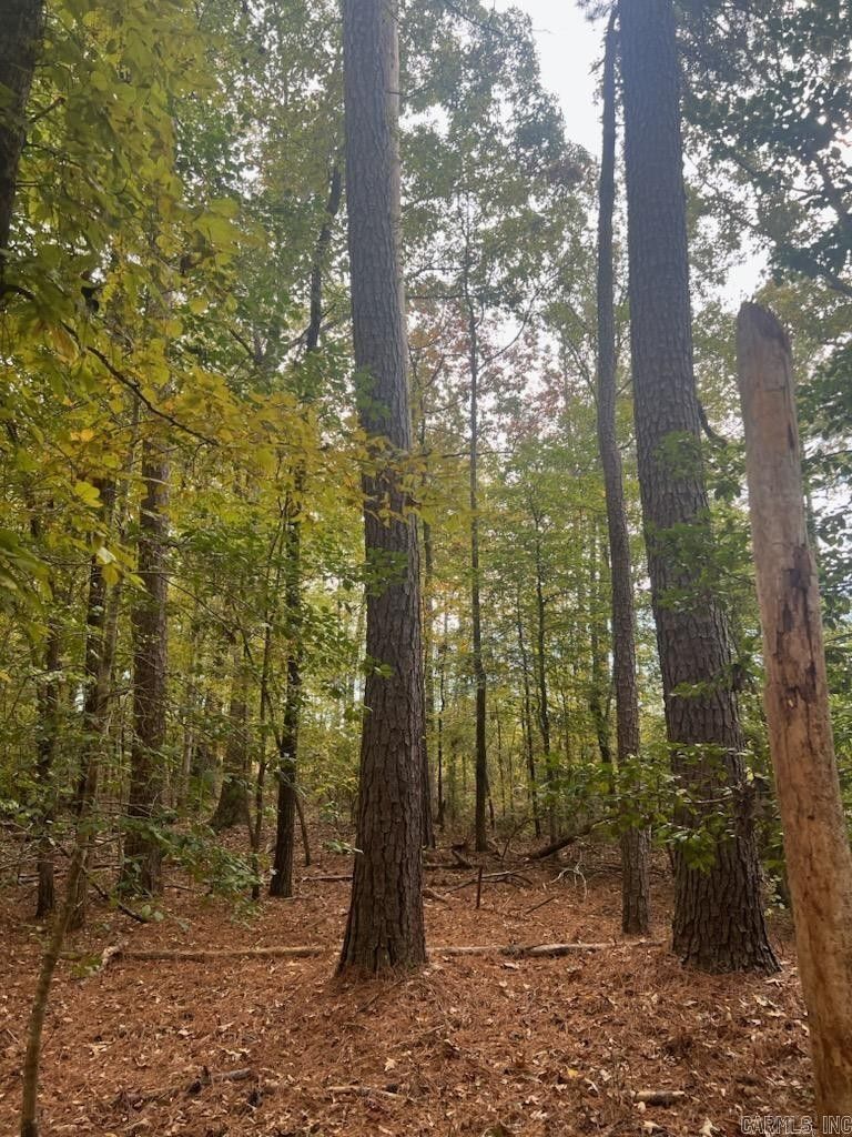 TBD Hall Creek Road, Sparkman, AR 71763 MLS 23036738 LandWatch